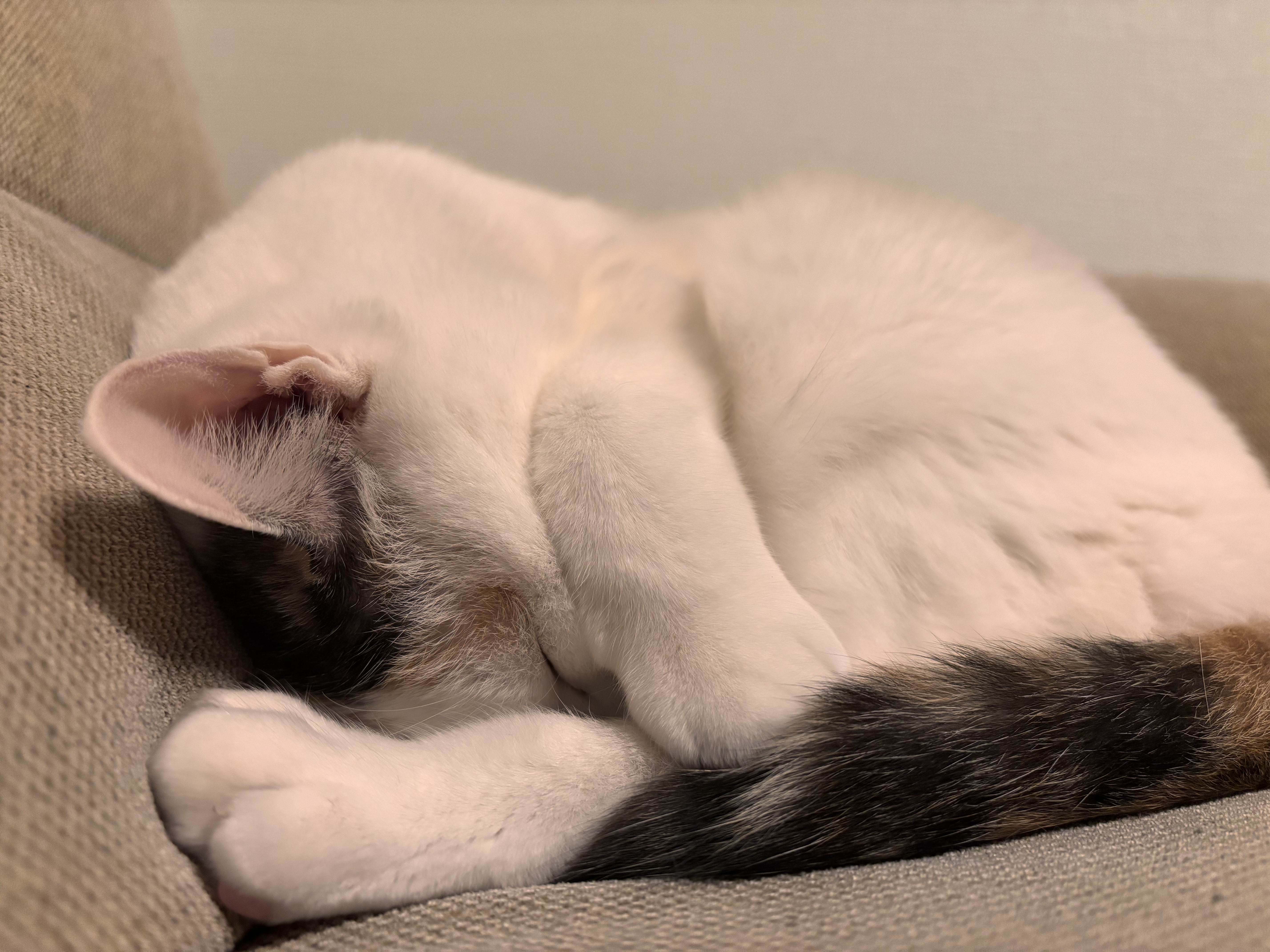 静岡丸子TSで安心のパンク修理と春の車点検ポイント