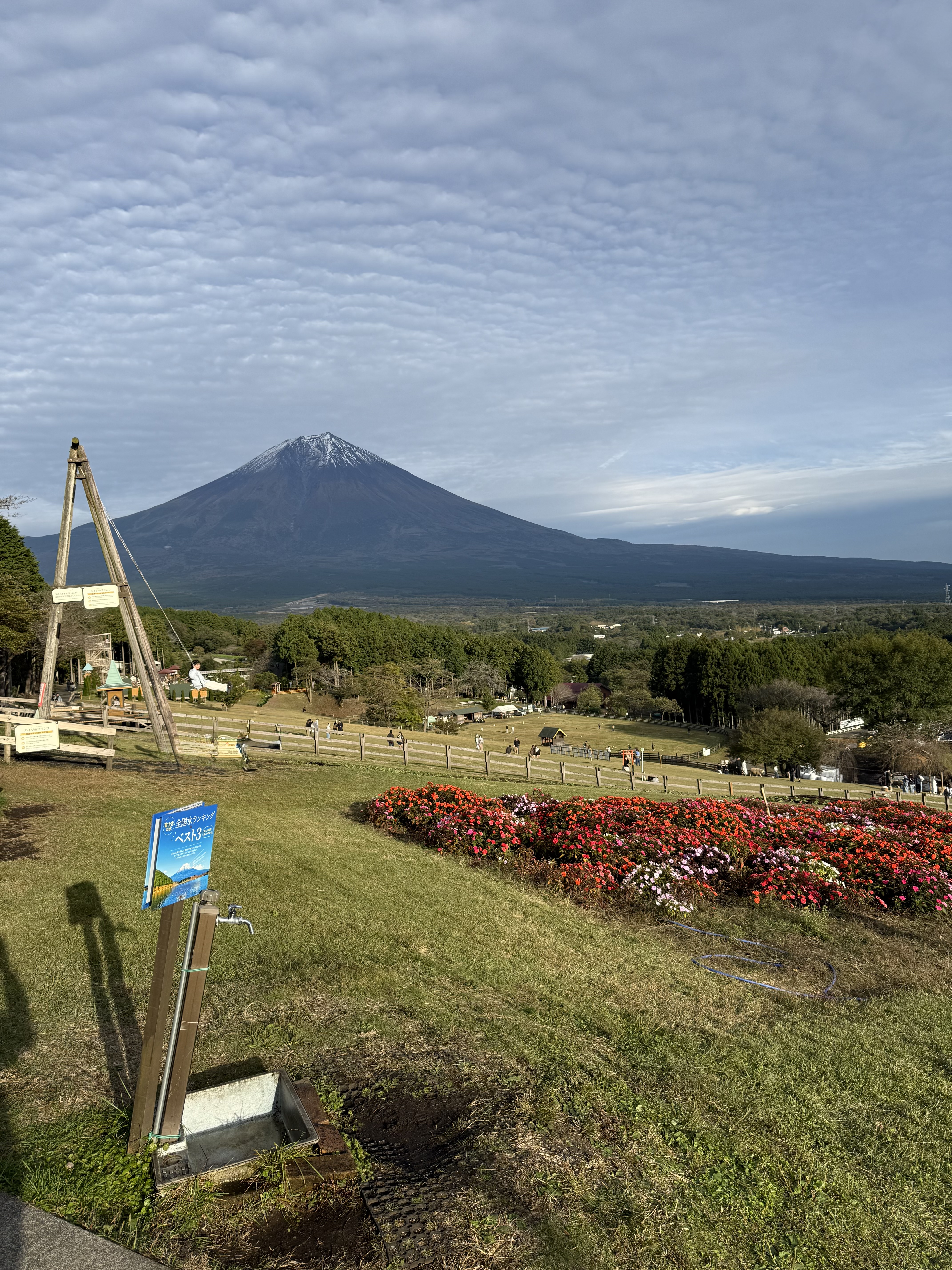 まかいの牧場へ家族でお出かけしてきました🚗
