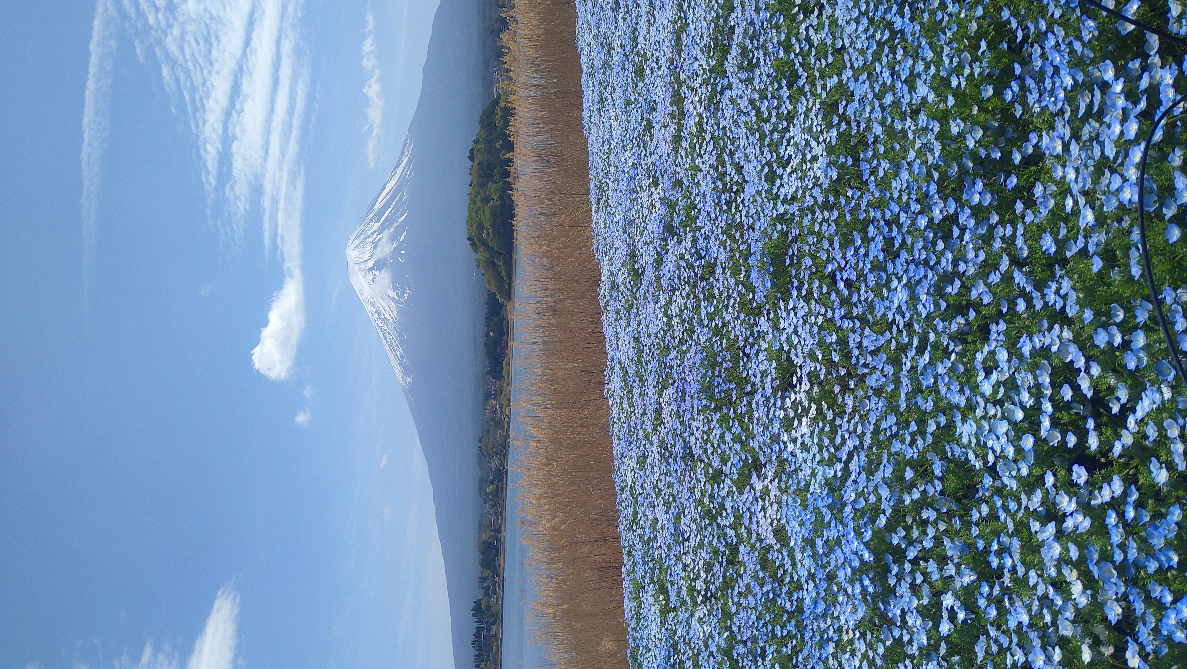 クーラー必須の季節になりましたね😊