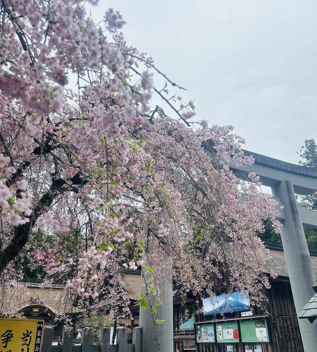 春のドライブ前に