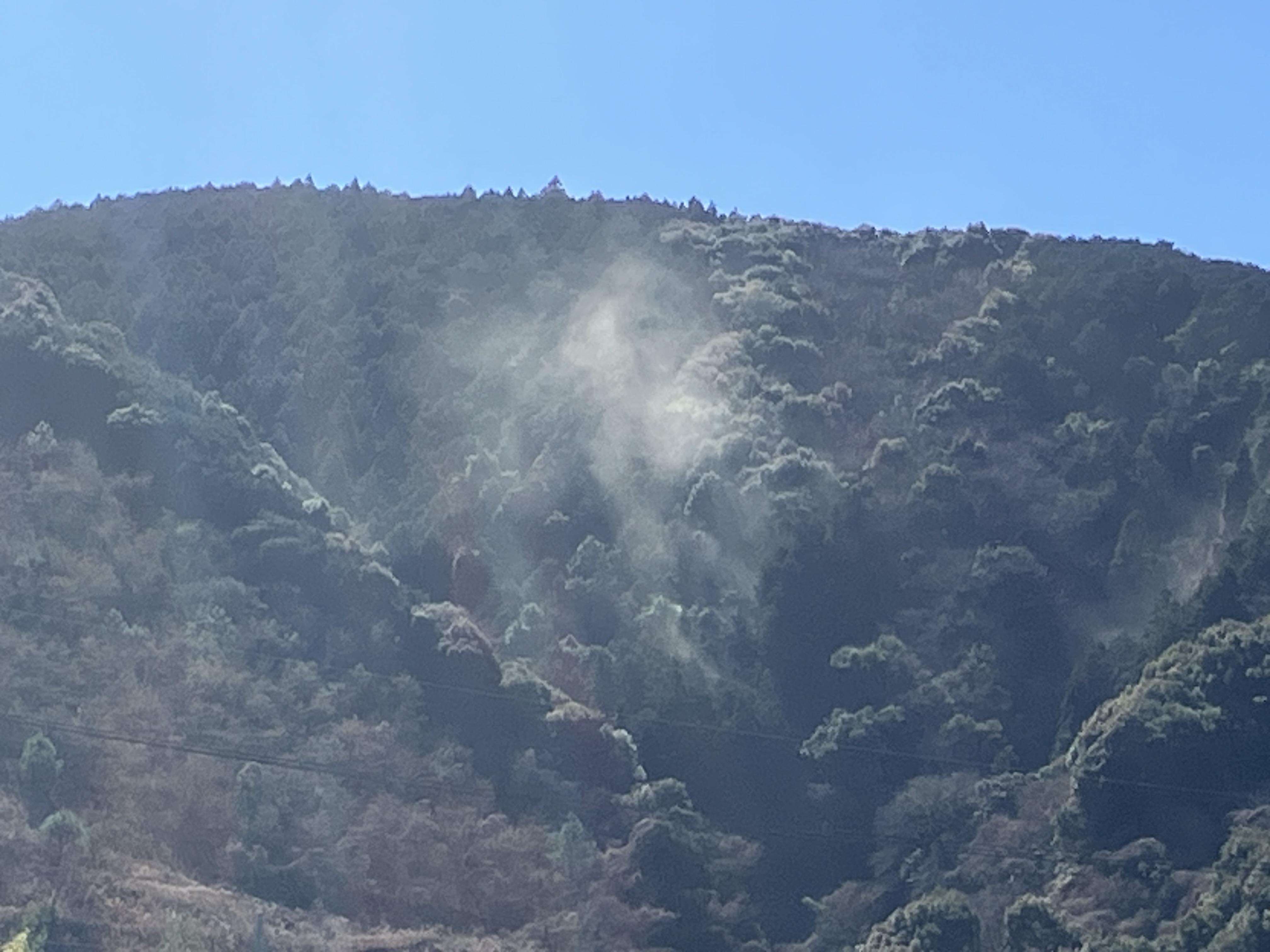 春の花粉対策と愛車メンテナンスで快適ドライブを楽しもう🚗