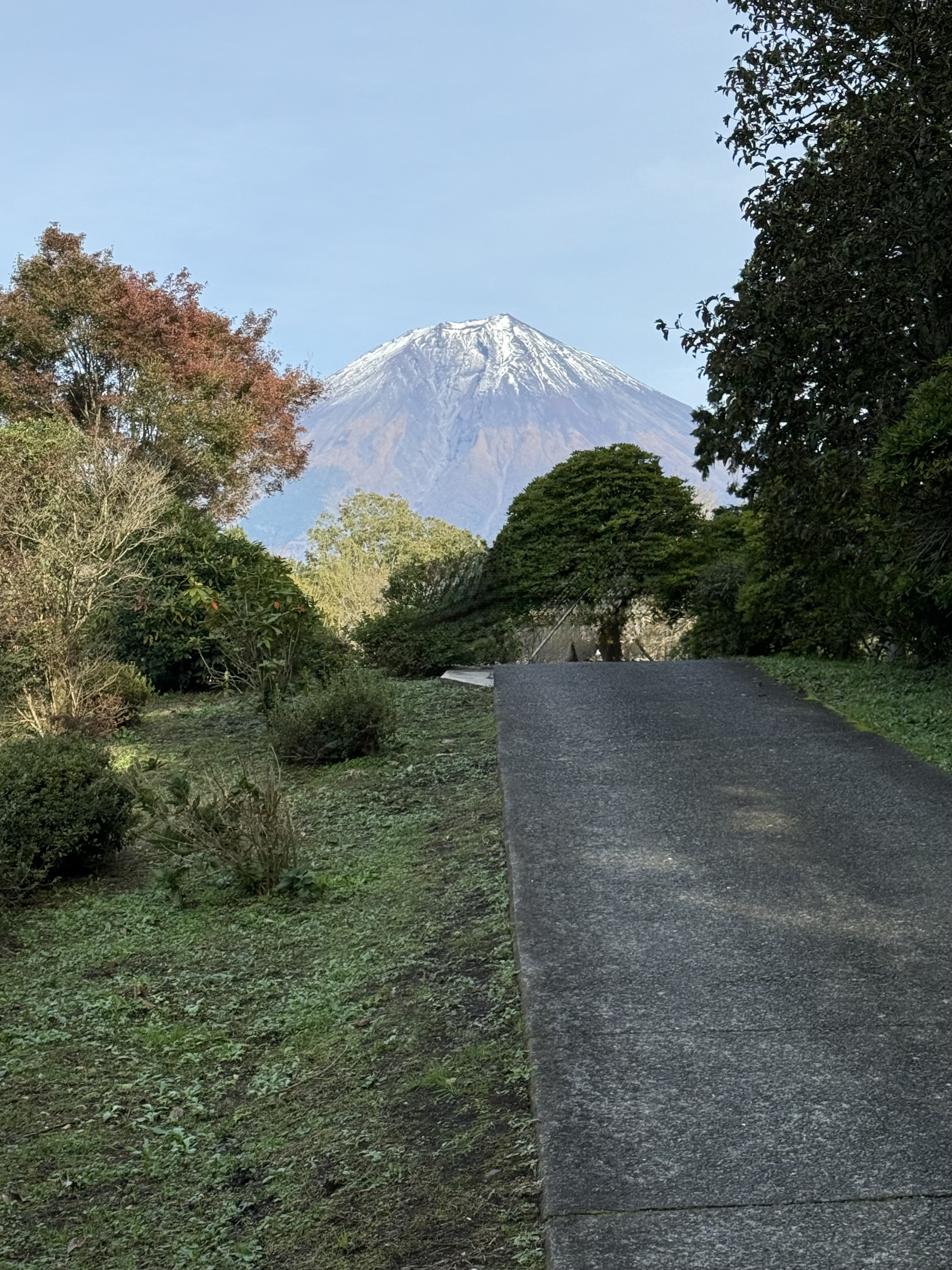 冬の汚れ対策に最適！静岡丸子TSのコーティングと洗車キャンペーン✨