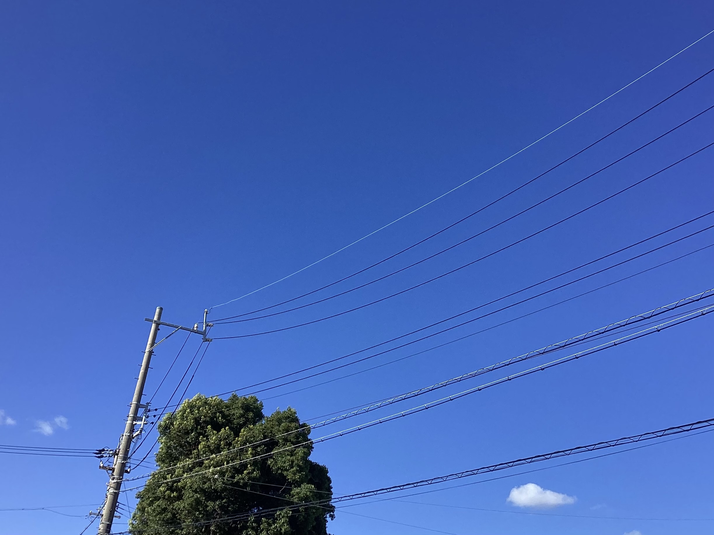 今日の天気