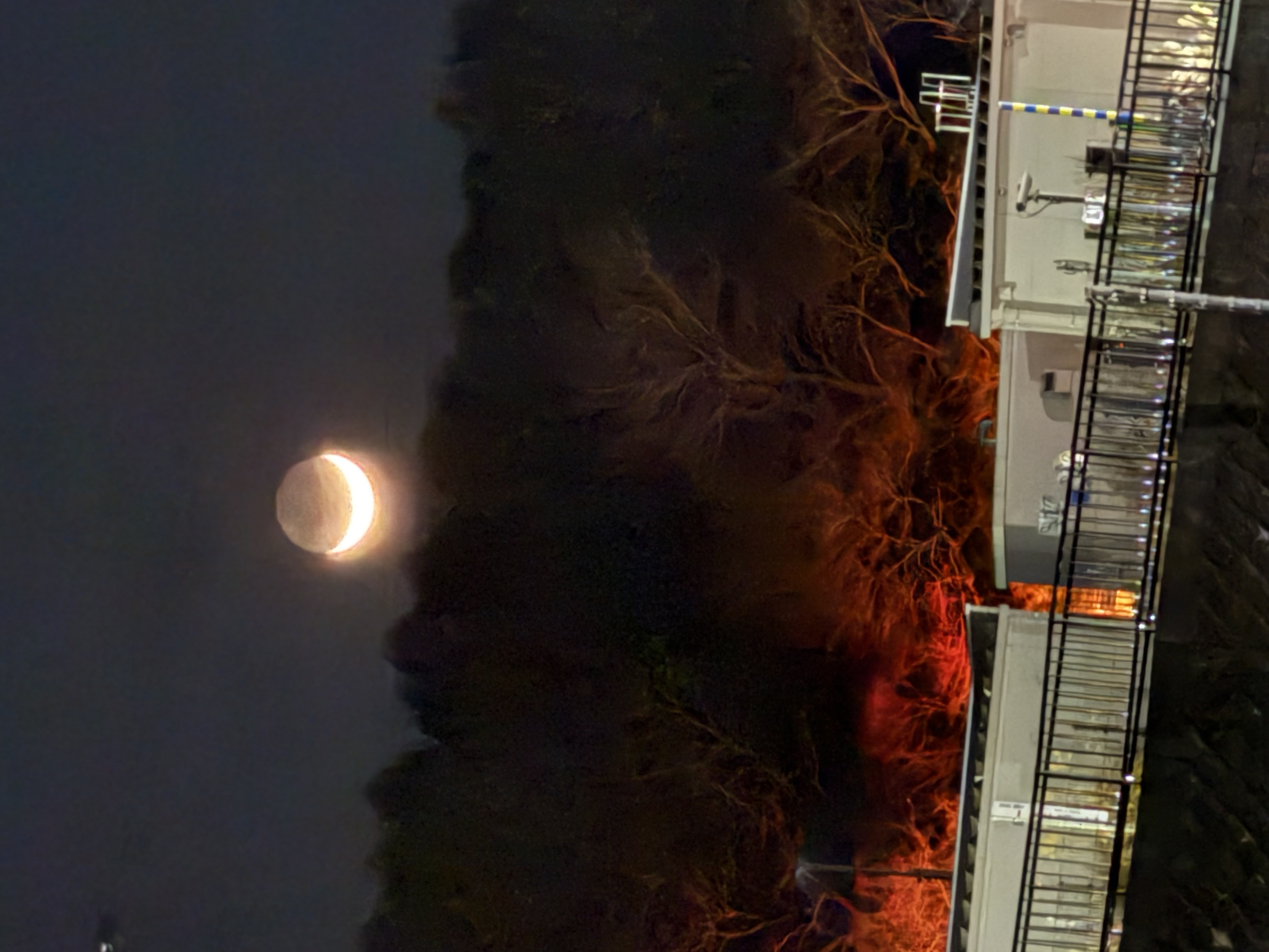 春のドライブ前におすすめ愛車点検とタイヤ交換キャンペーン情報🚗