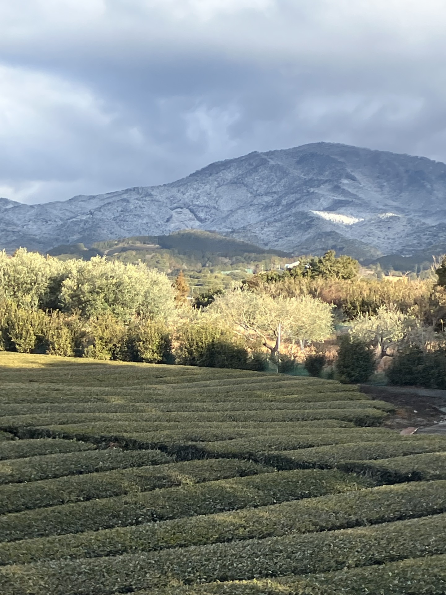 冬の雨の日も安心！車検とボンネット点検キャンペーン開催中☔️