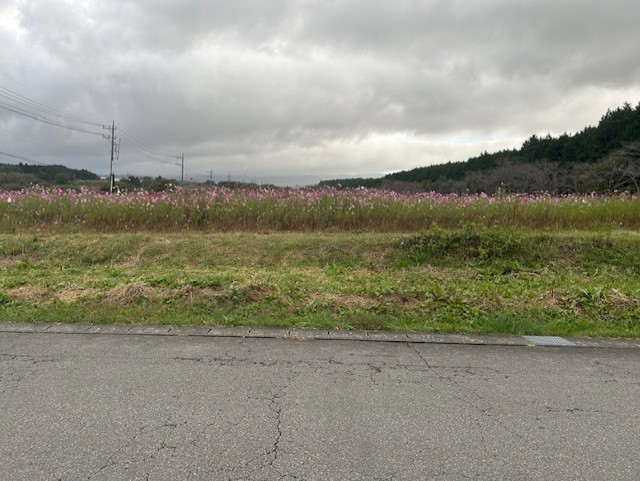 冬の安全運転に必須！静岡御殿場下りTSの冬タイヤ＆メンテ情報🚗