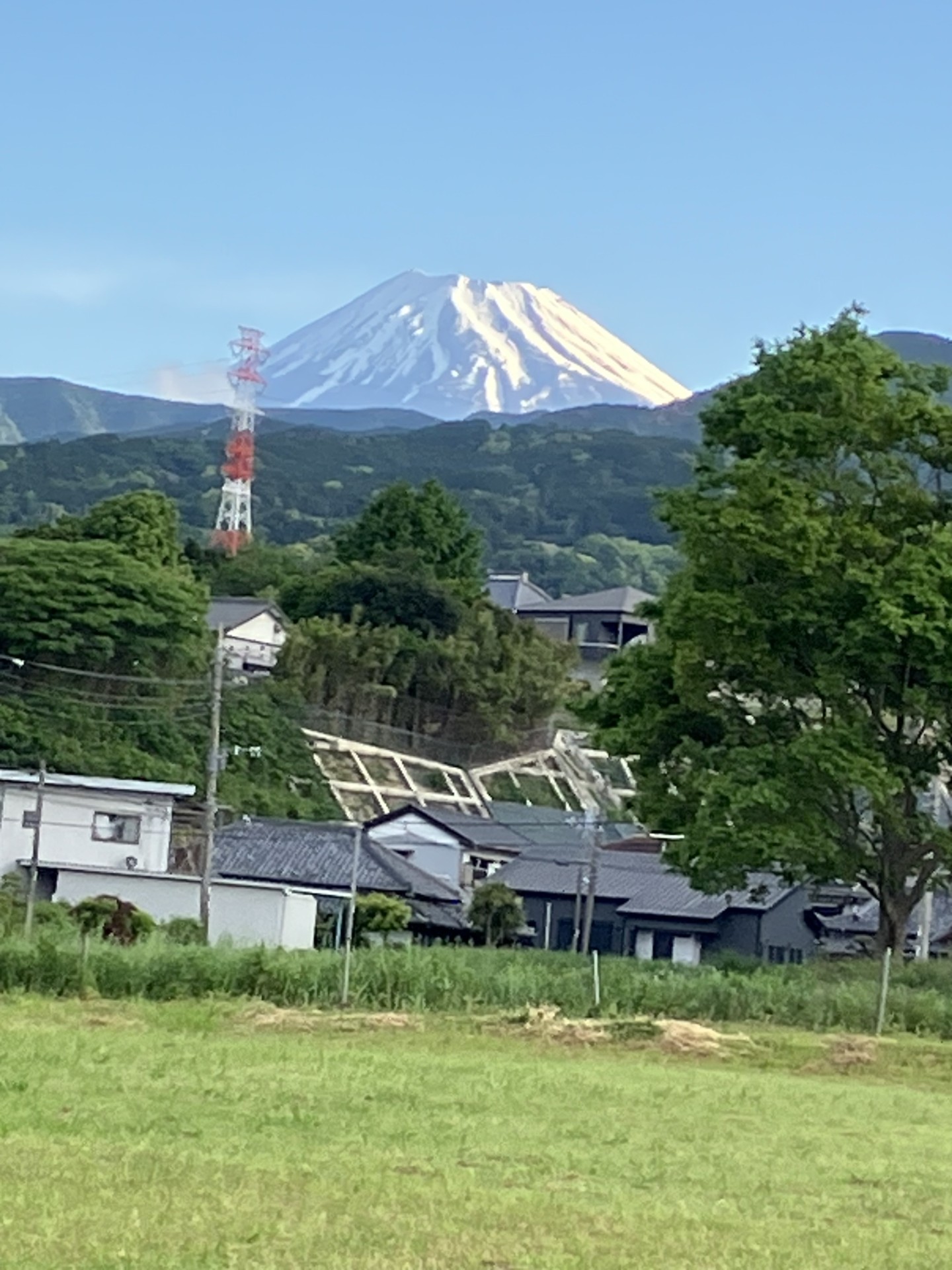 春の安全運転応援キャンペーン開催中！御殿場下りTSで点検を🌸