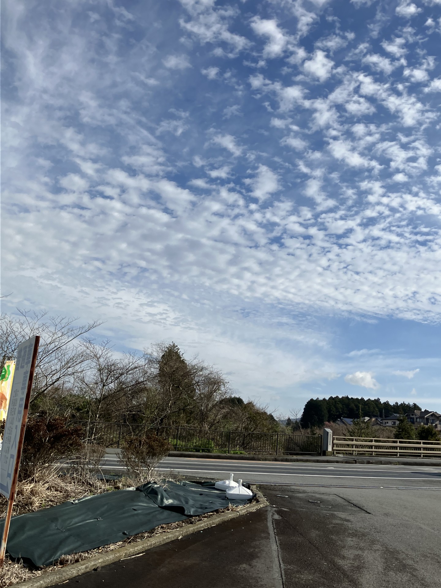 春のタイヤ交換と車検点検キャンペーンで安心ドライブをサポート🚗