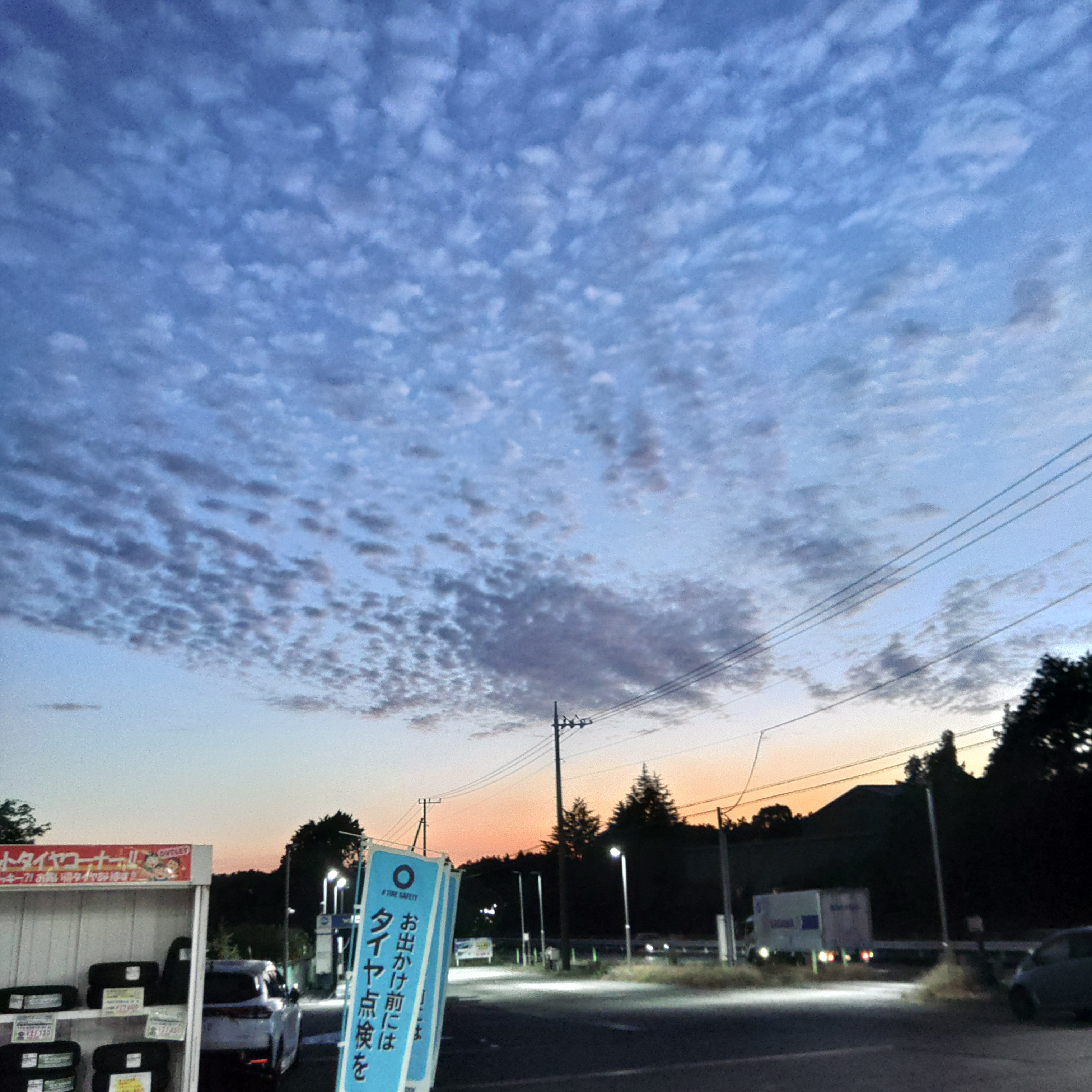 冬の洗車とメンテナンスポイントをルート246御殿場で紹介🚗