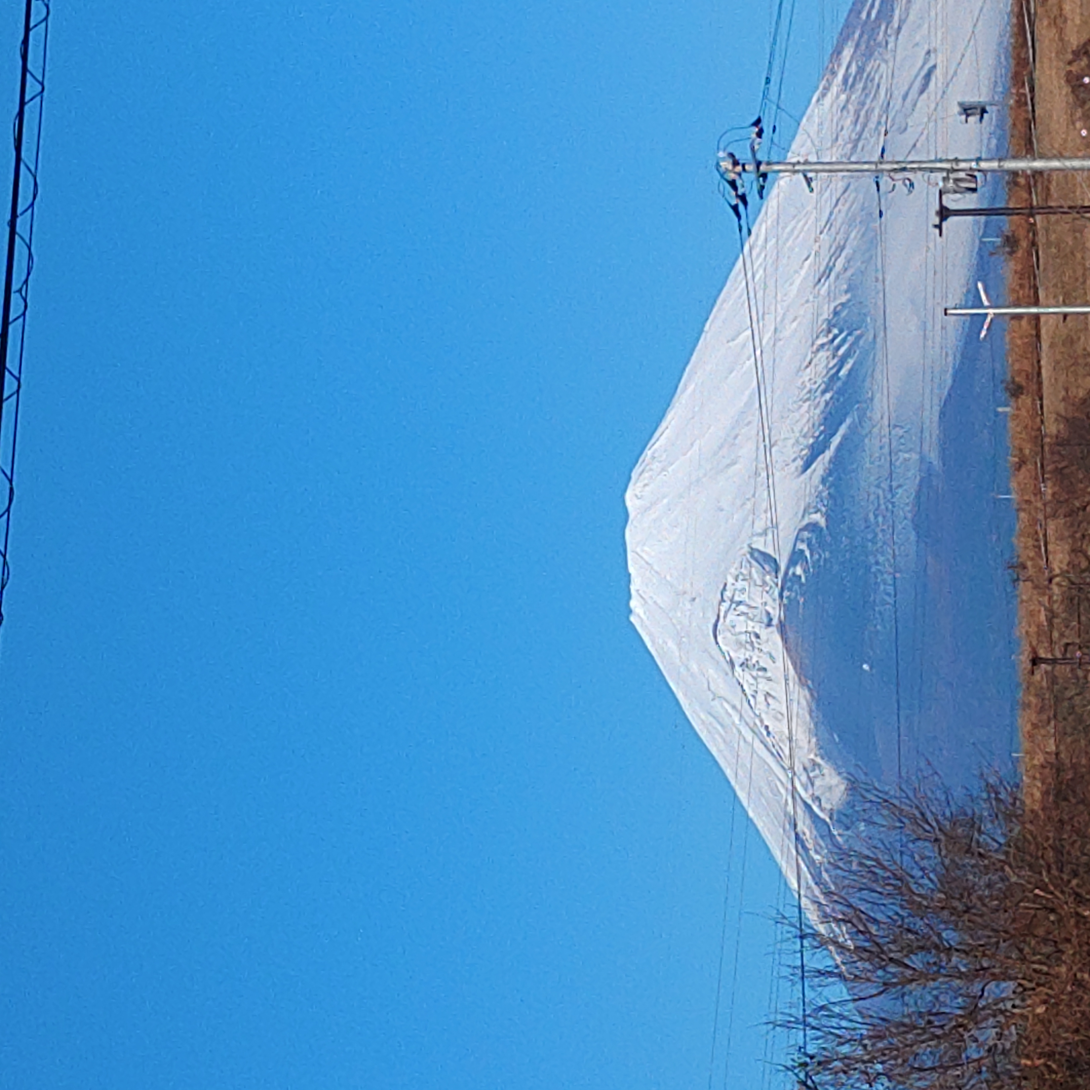 春のタイヤ交換と車検ポイント｜安全ドライブの準備をサポート🚗