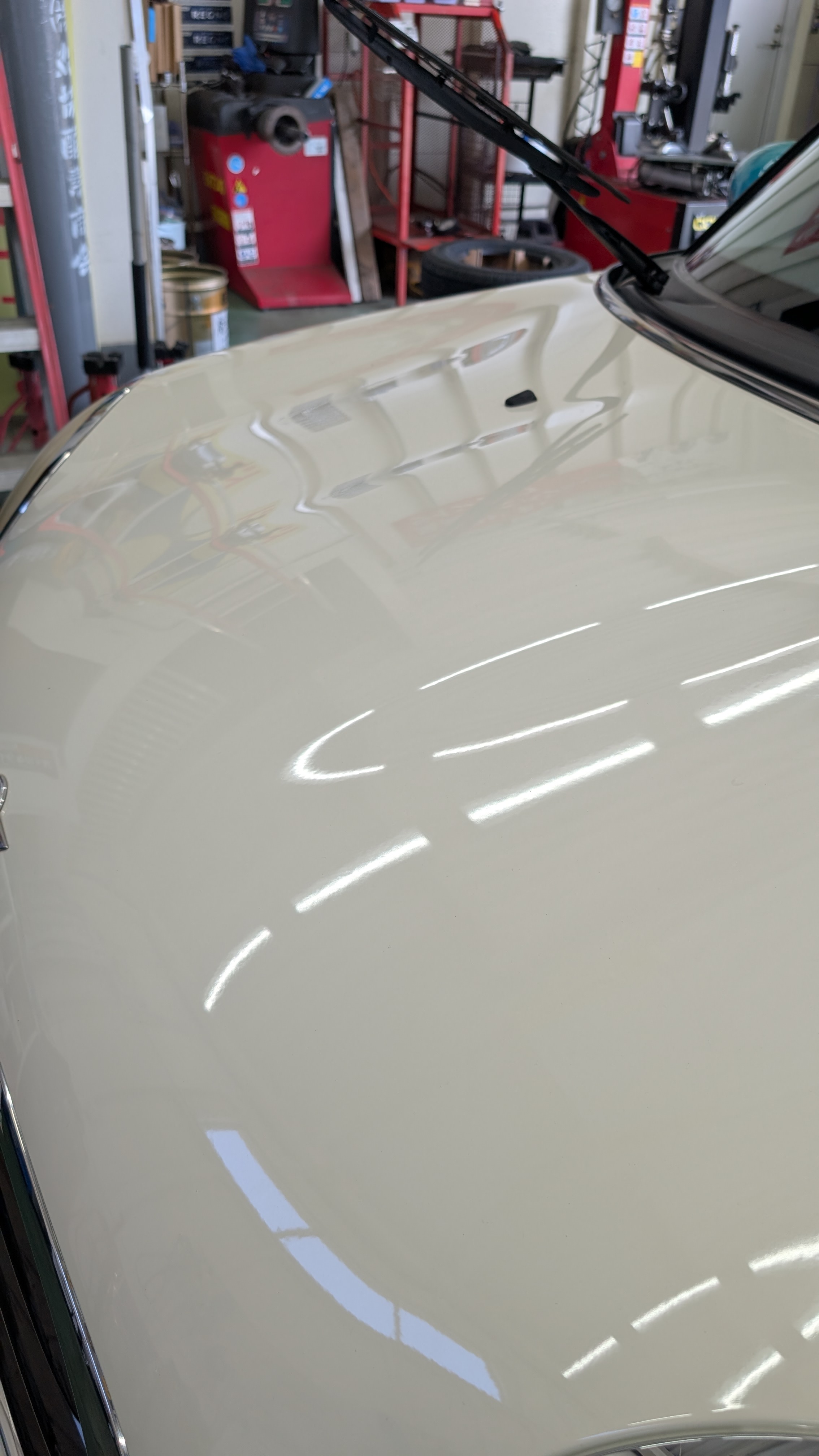 春の花粉対策におすすめ車コーティング10%オフキャンペーン開催中🚗✨