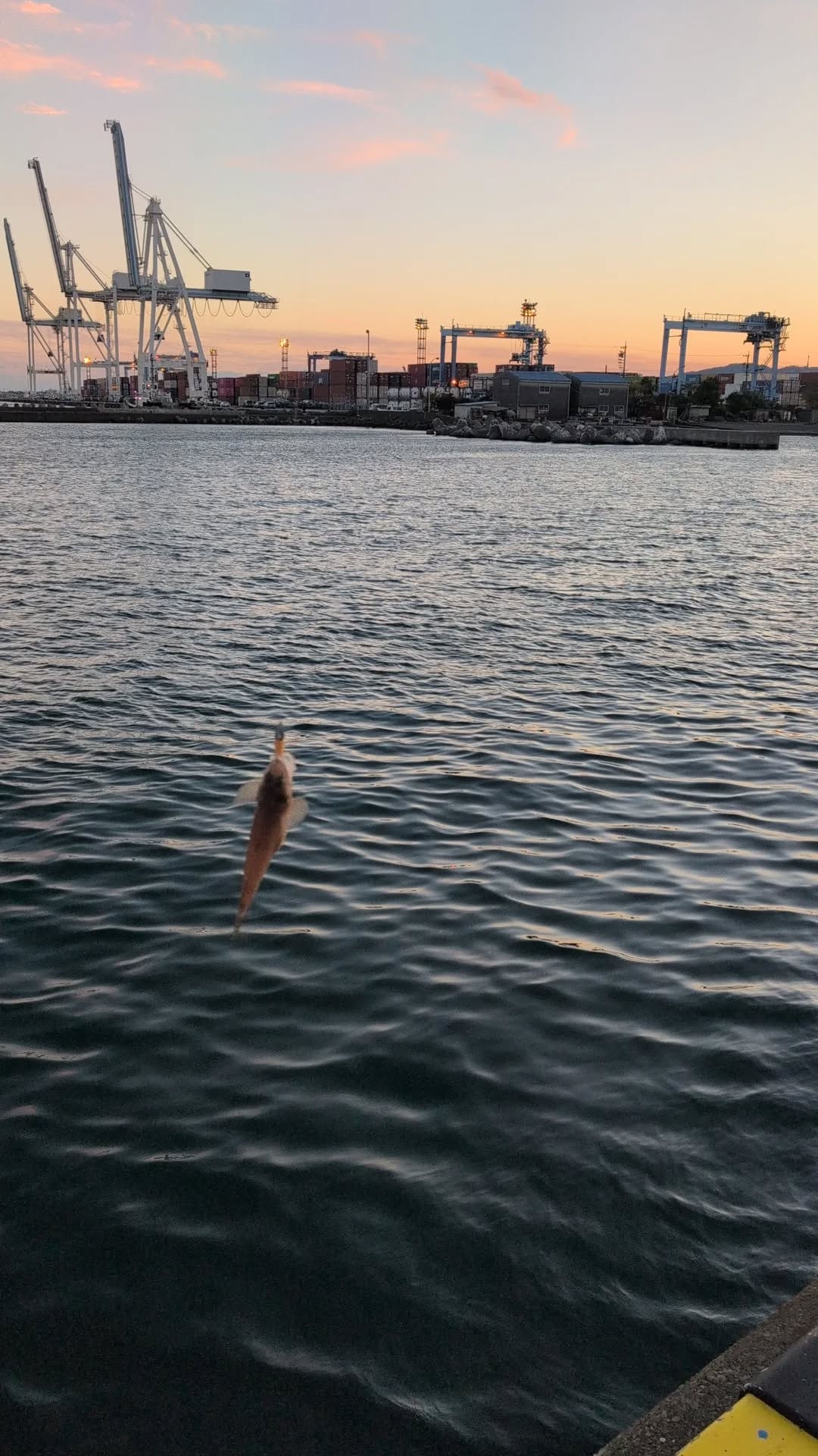 春の花粉対策に車コーティングとメンテナンスで安心ドライブ🚗