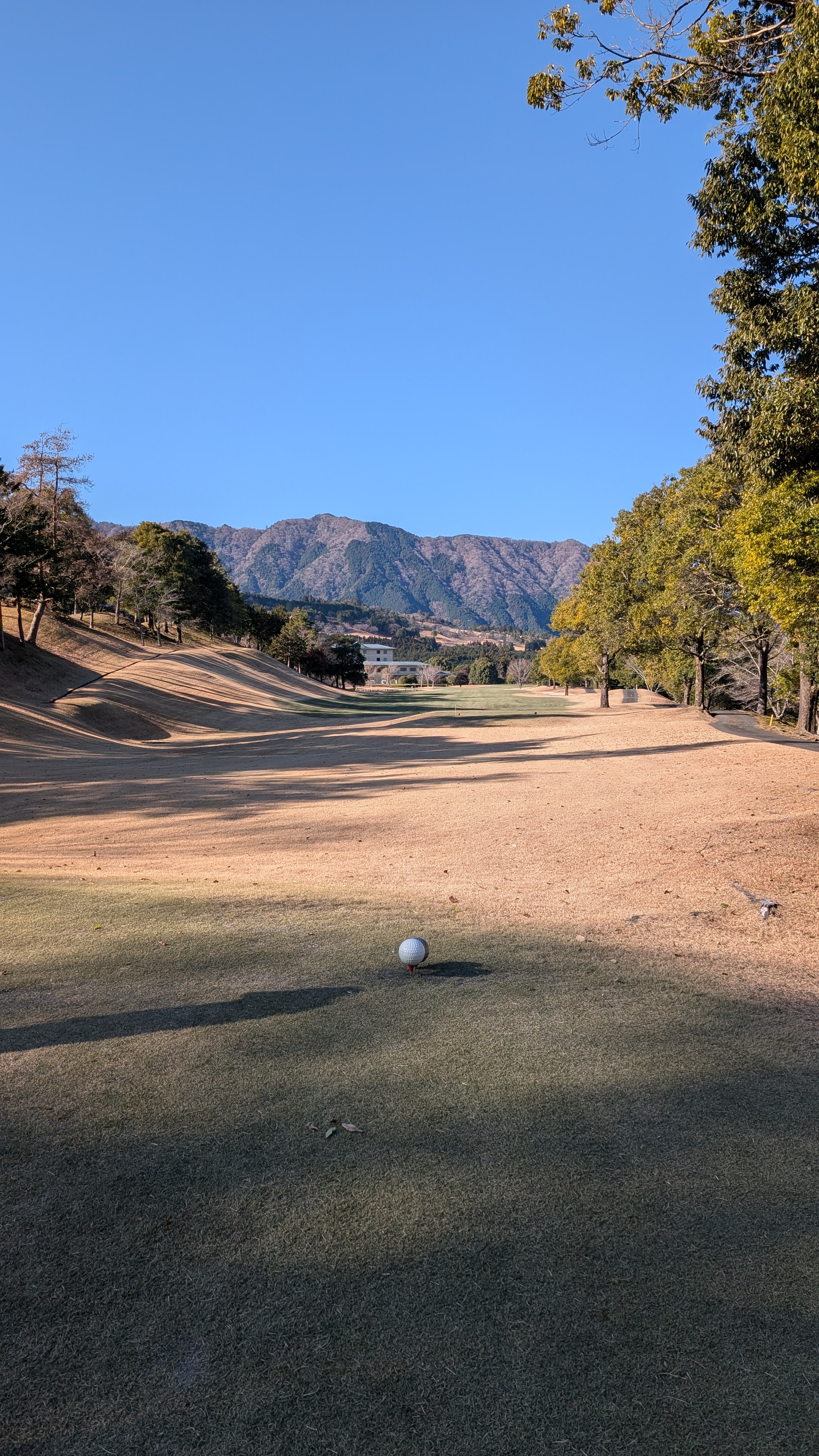 黄砂対策におすすめ手洗い洗車1000円イベント開催中🚗✨