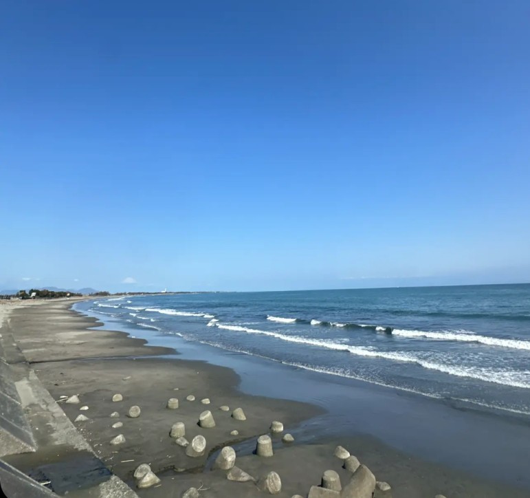 春のドライブ前にチェックしたい車の点検ポイントと洗車のコツ🚗