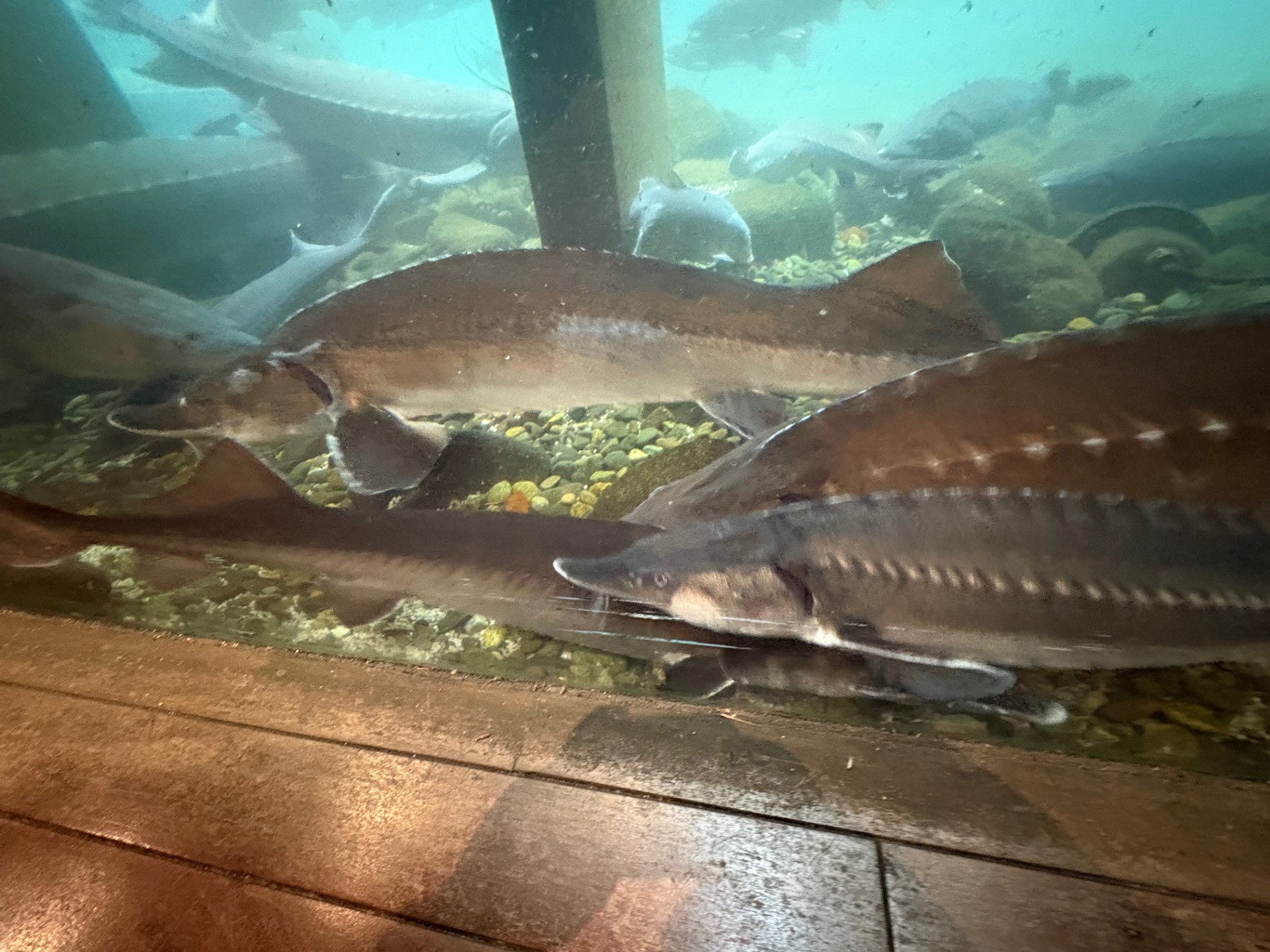 秋の山梨旅と車の秋冬メンテナンスポイント🚗清水インター東TSから