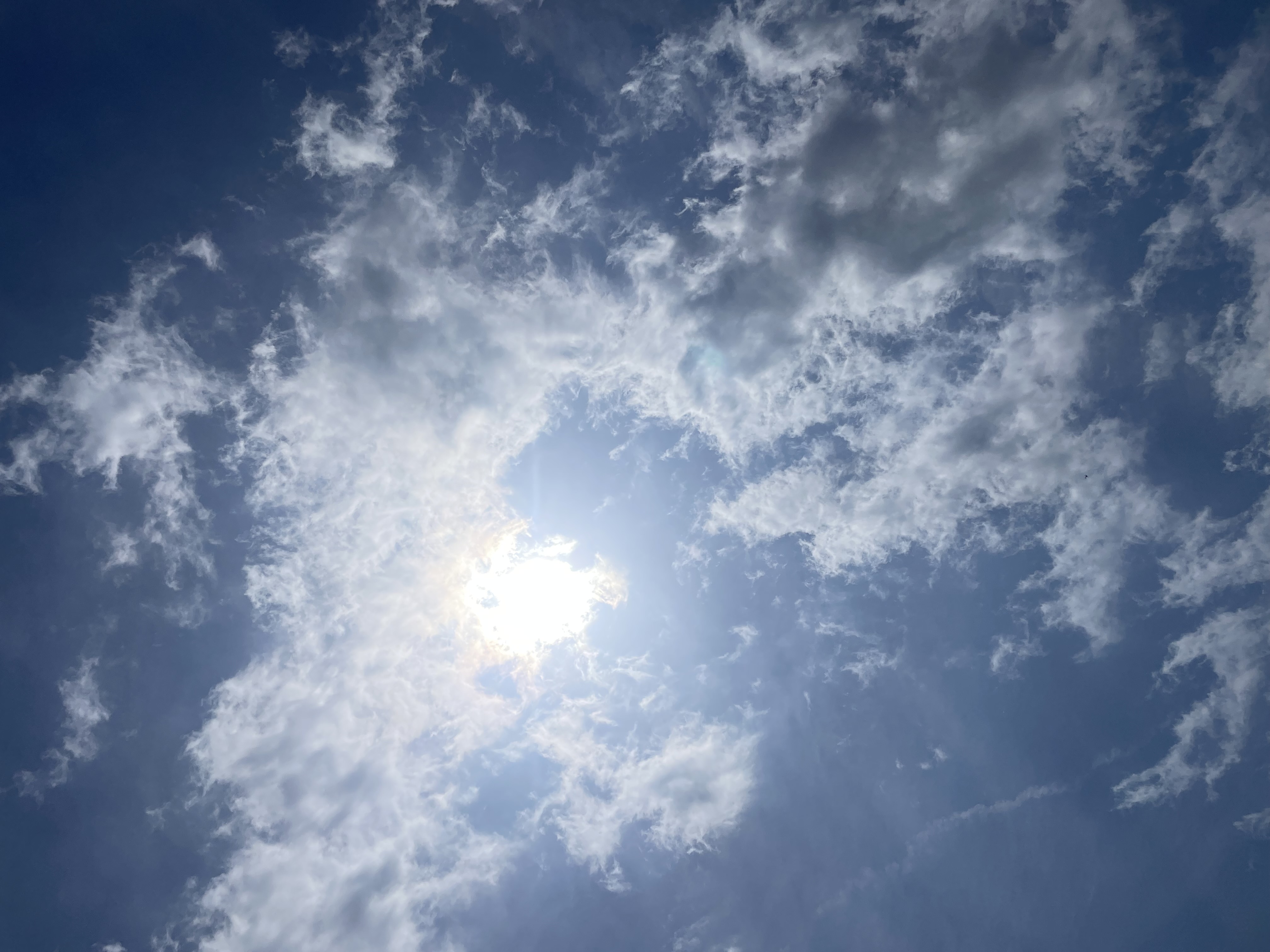 春のドライブ前におすすめ清水インター東TSの車メンテナンス🌸