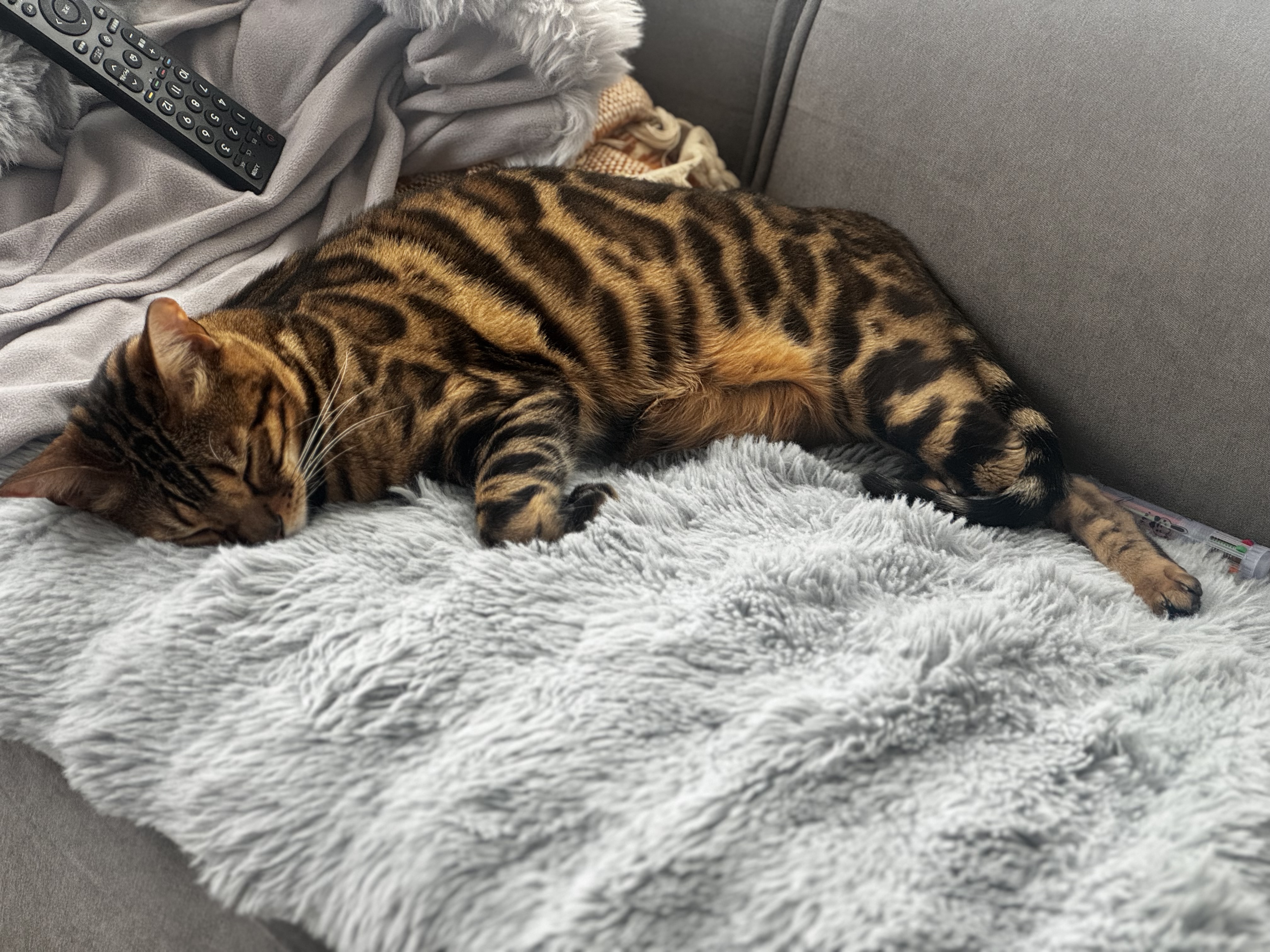 雨の日も安心ヘッドライトクリーニングと冬の車メンテ術🚗