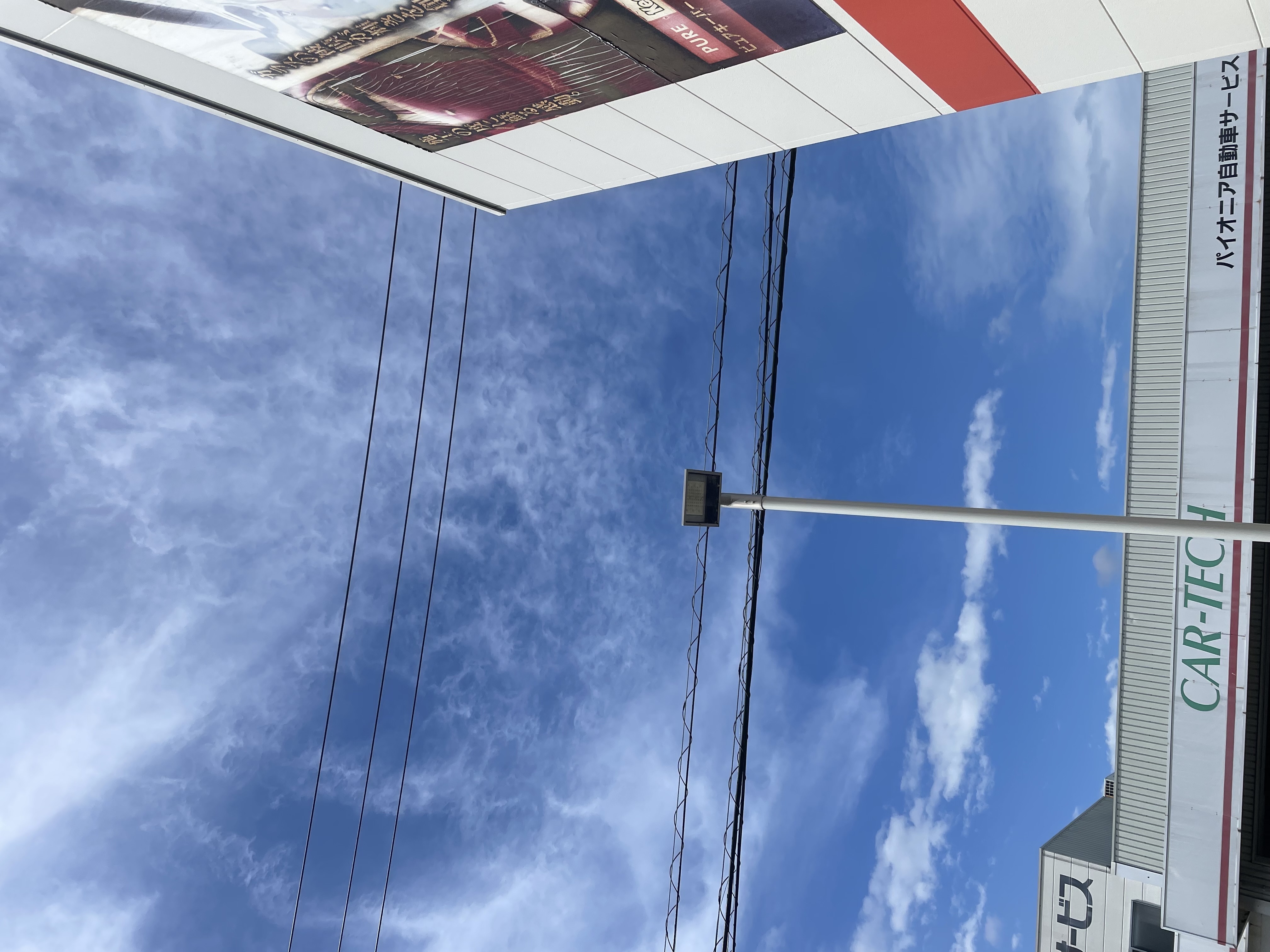 春のドライブ前にチェックしたい愛車のポイントとお手入れ方法🚗✨