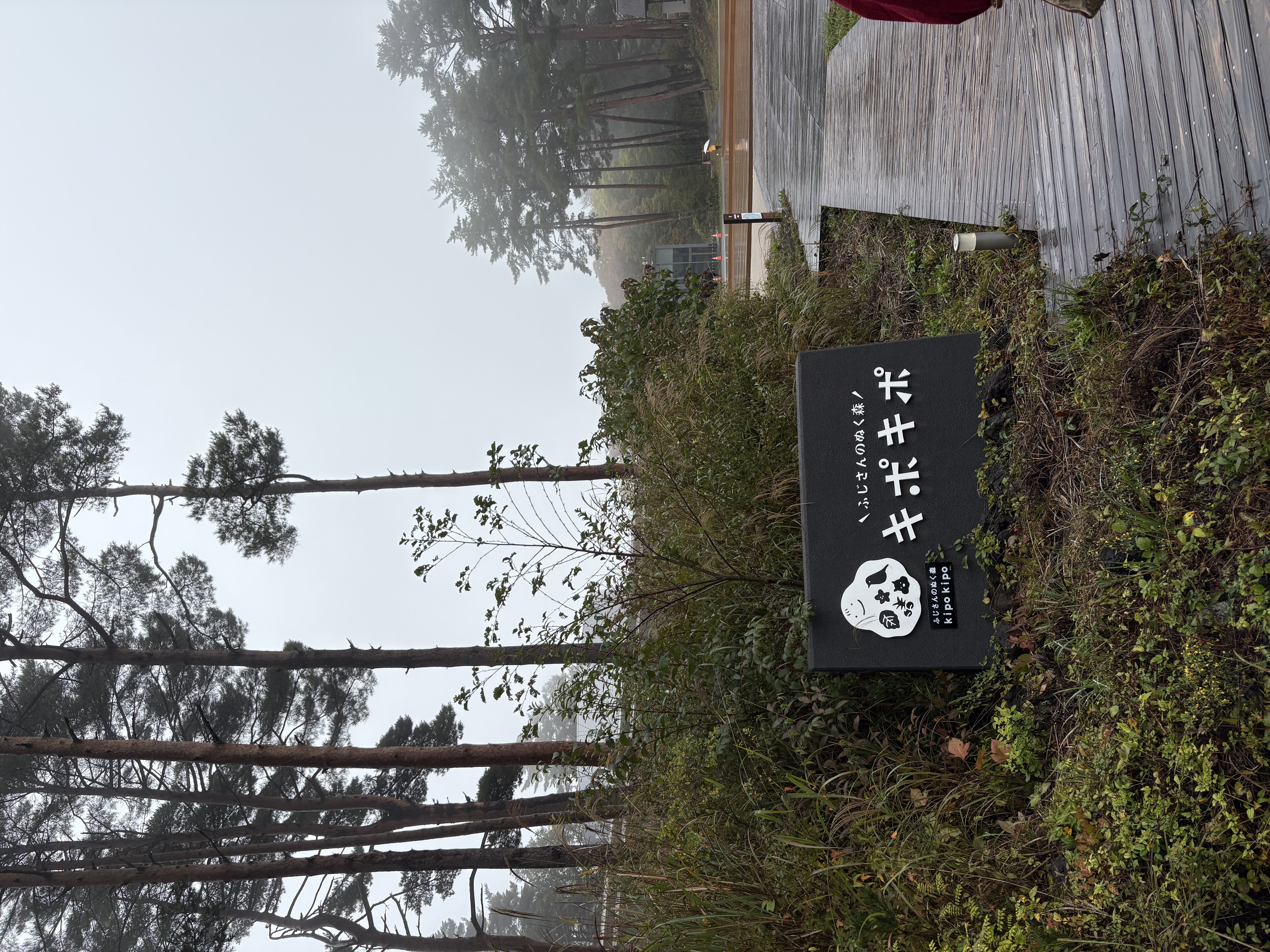 雨の日も安心キポキポで遊んで秋の車点検もお忘れなく🚗