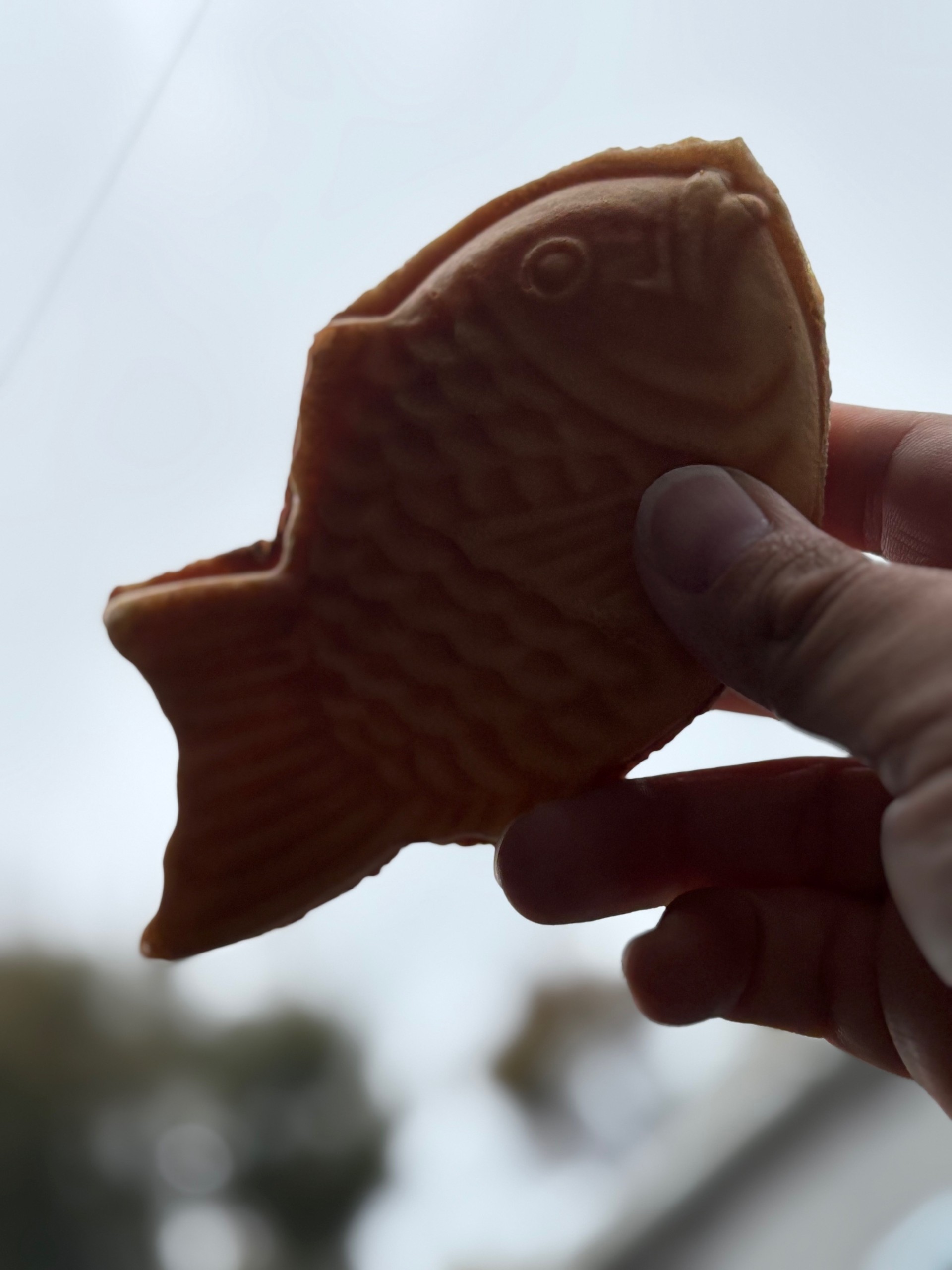 清水インター東TSの秋ドライブ応援！絶品たい焼きと車ケア情報🍁