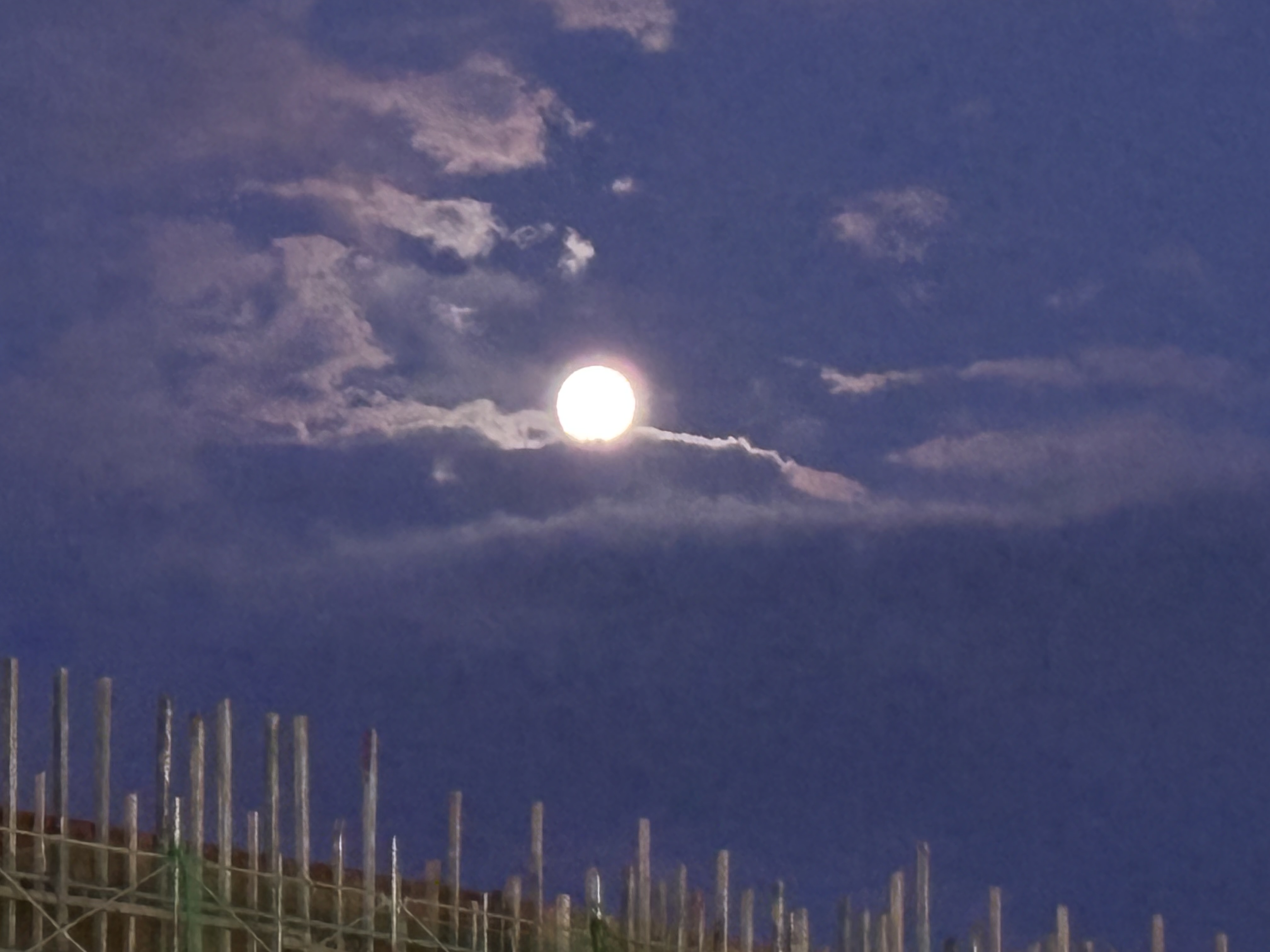 春の花粉黄砂対策におすすめ洗車と点検で愛車ピカピカに🚗