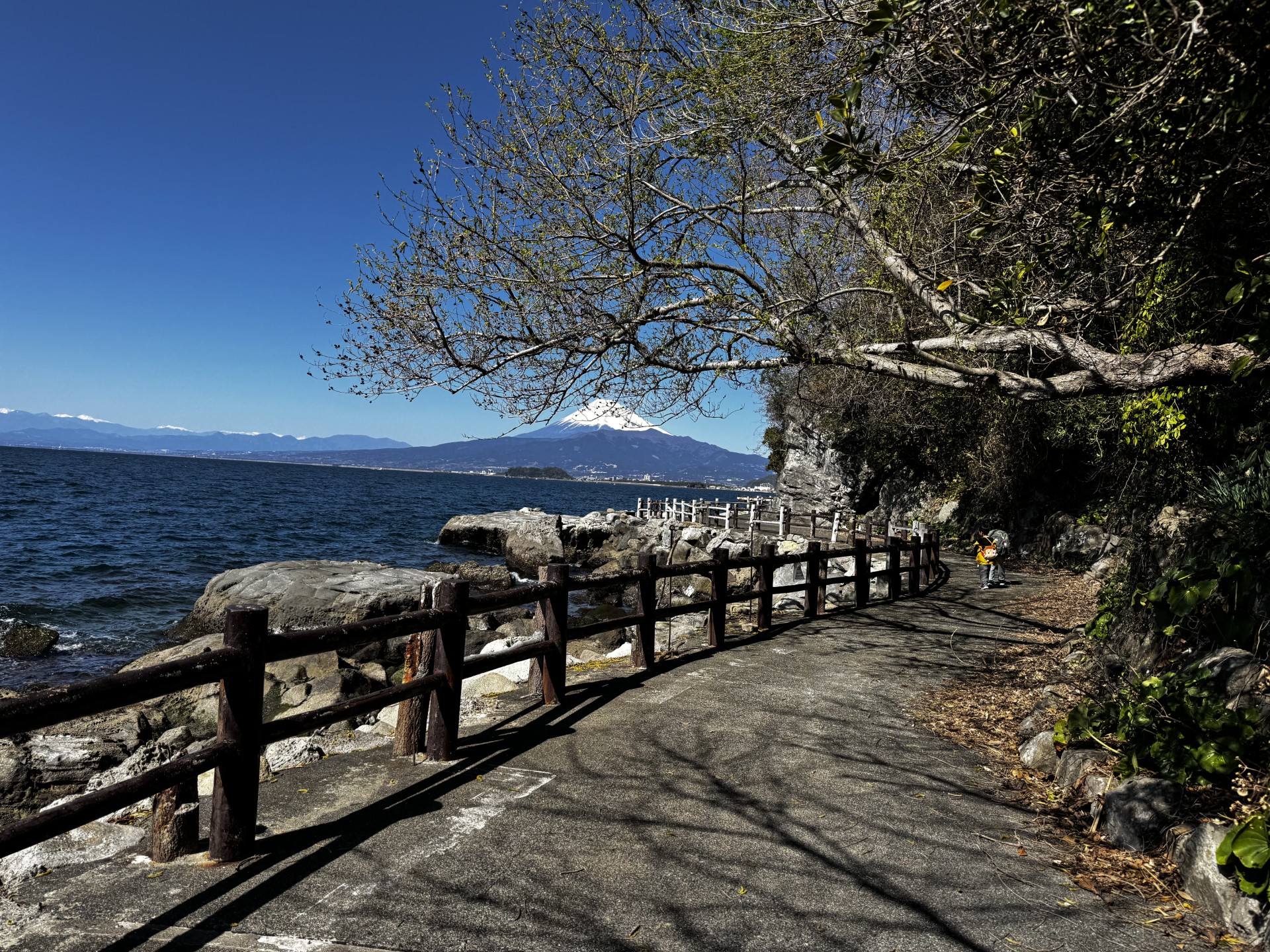 春に向けて大切なお車をしっかりメンテナンス🚗