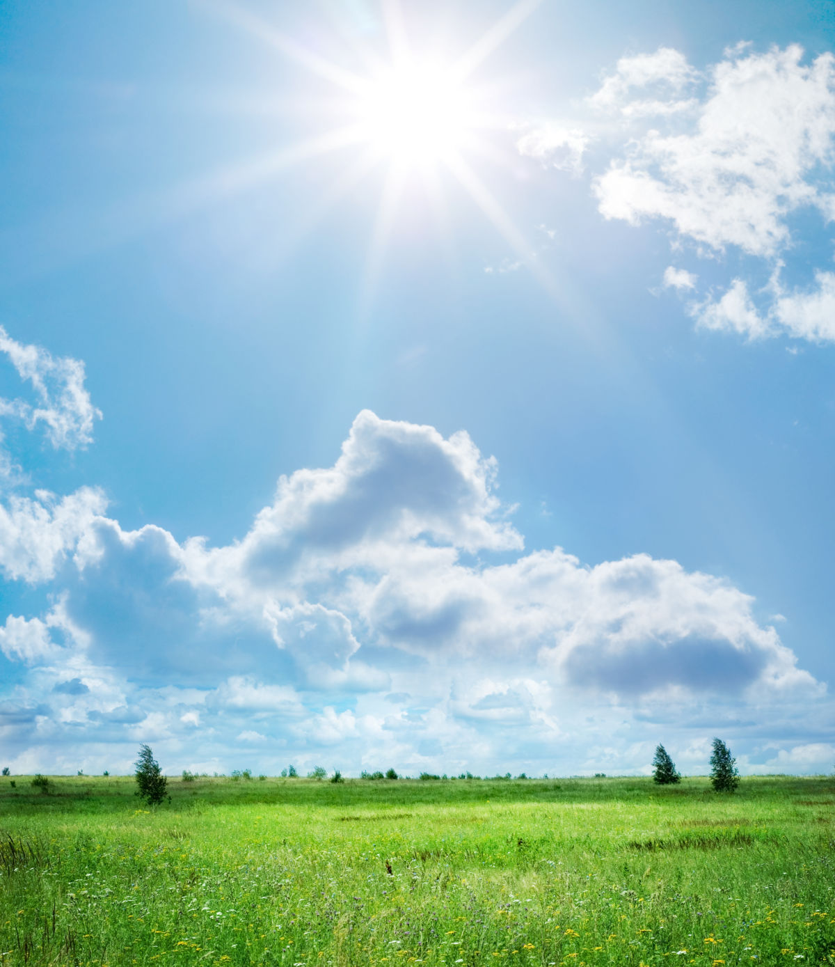 春の洗車と点検で愛車ピカピカ安全ドライブを楽しもう🚗