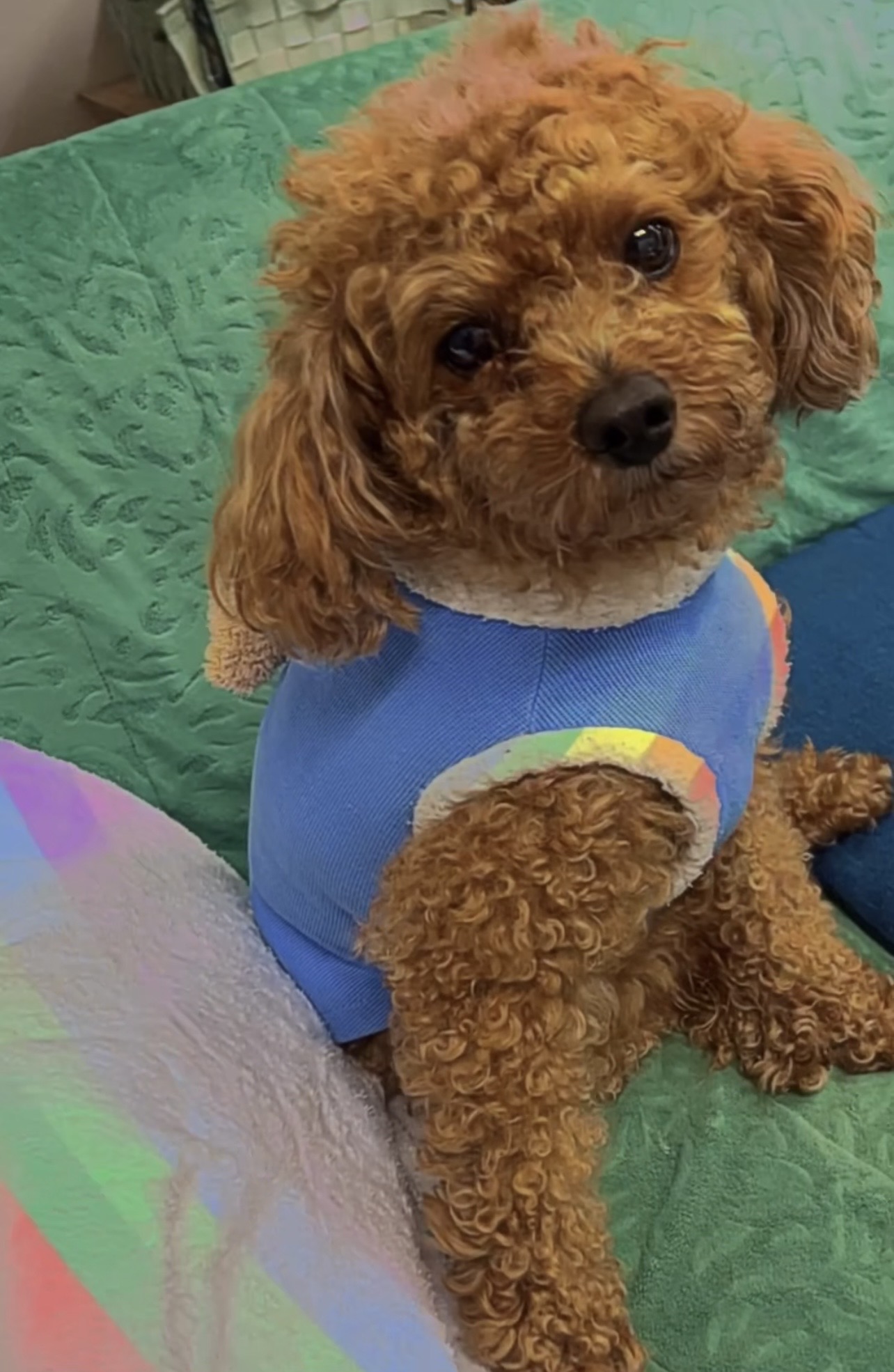 冬の洗車トラブルとタイヤキャンペーン情報をチェックしよう❄️