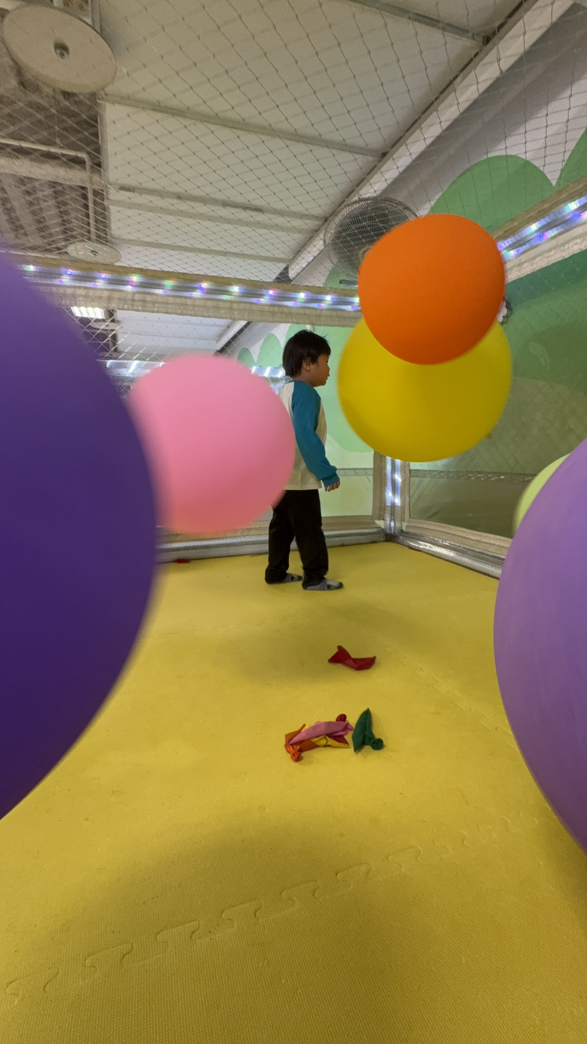 セルフ村松SSの秋メンテナンスとお得なコーティングキャンペーン情報🚗