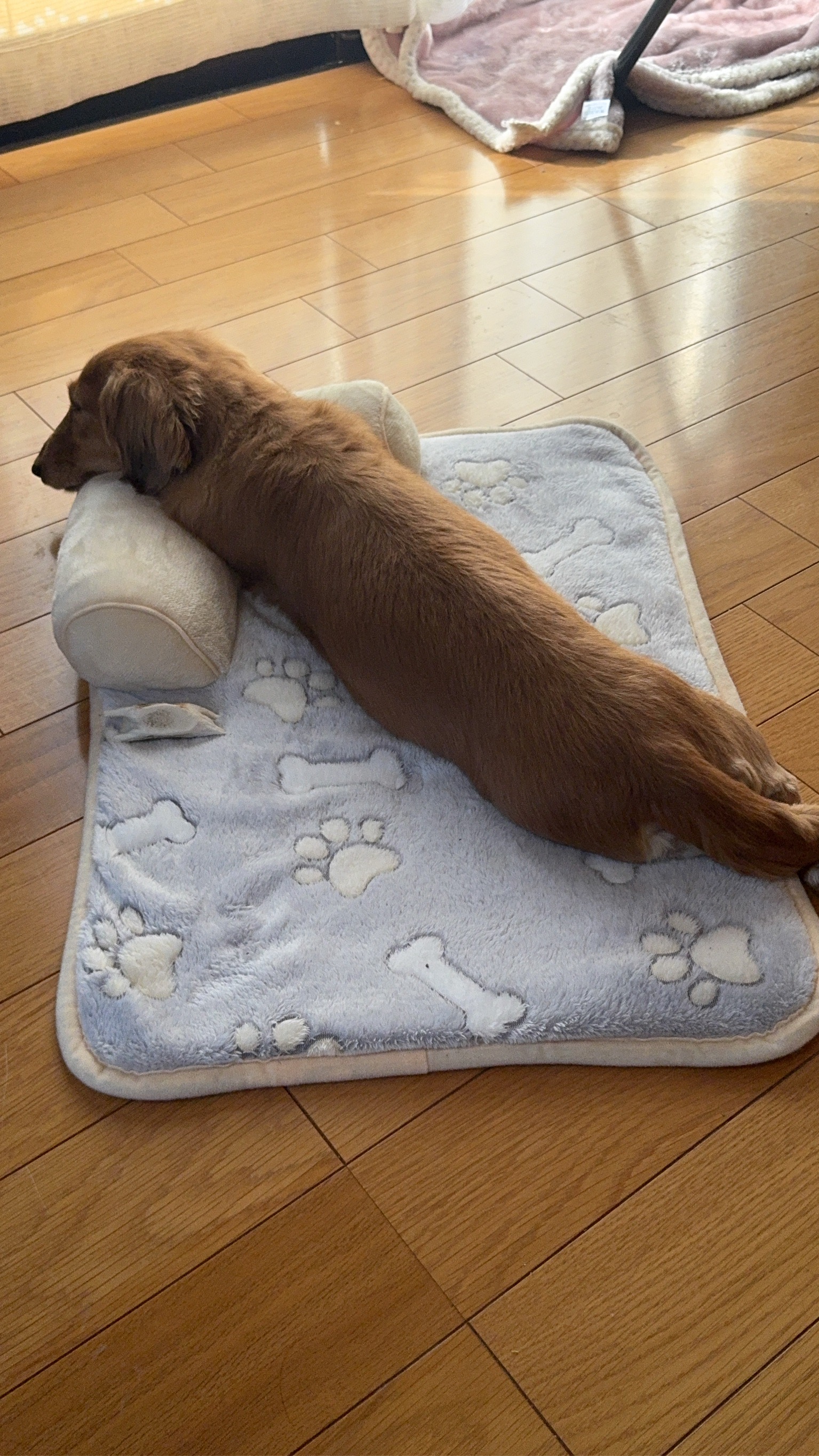 冬の安全運転に役立つ車メンテとKeePerコーティング10％オフ情報🚗