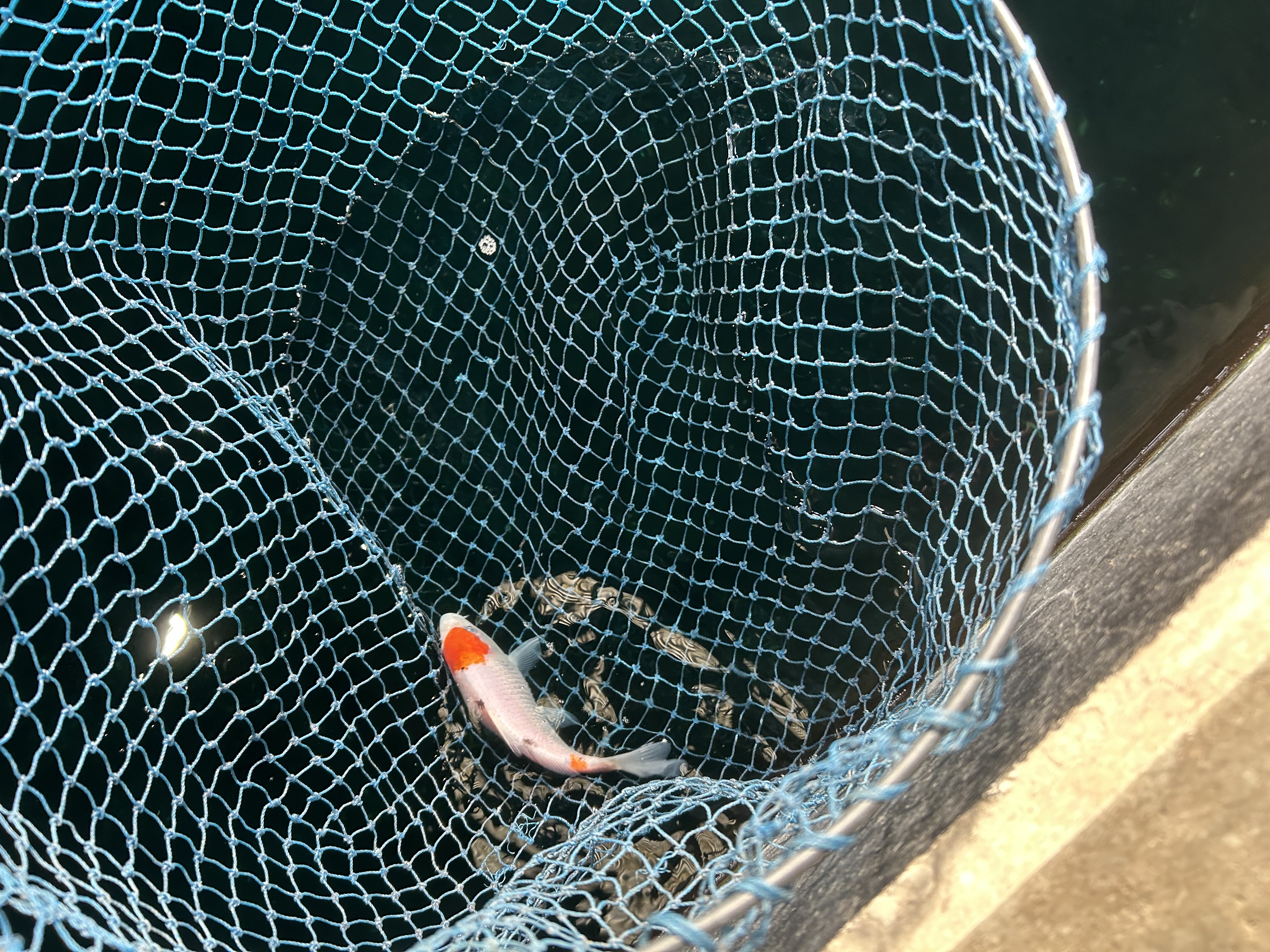 雨の日も安心手洗い洗車と冬の車点検で快適ドライブ☔️