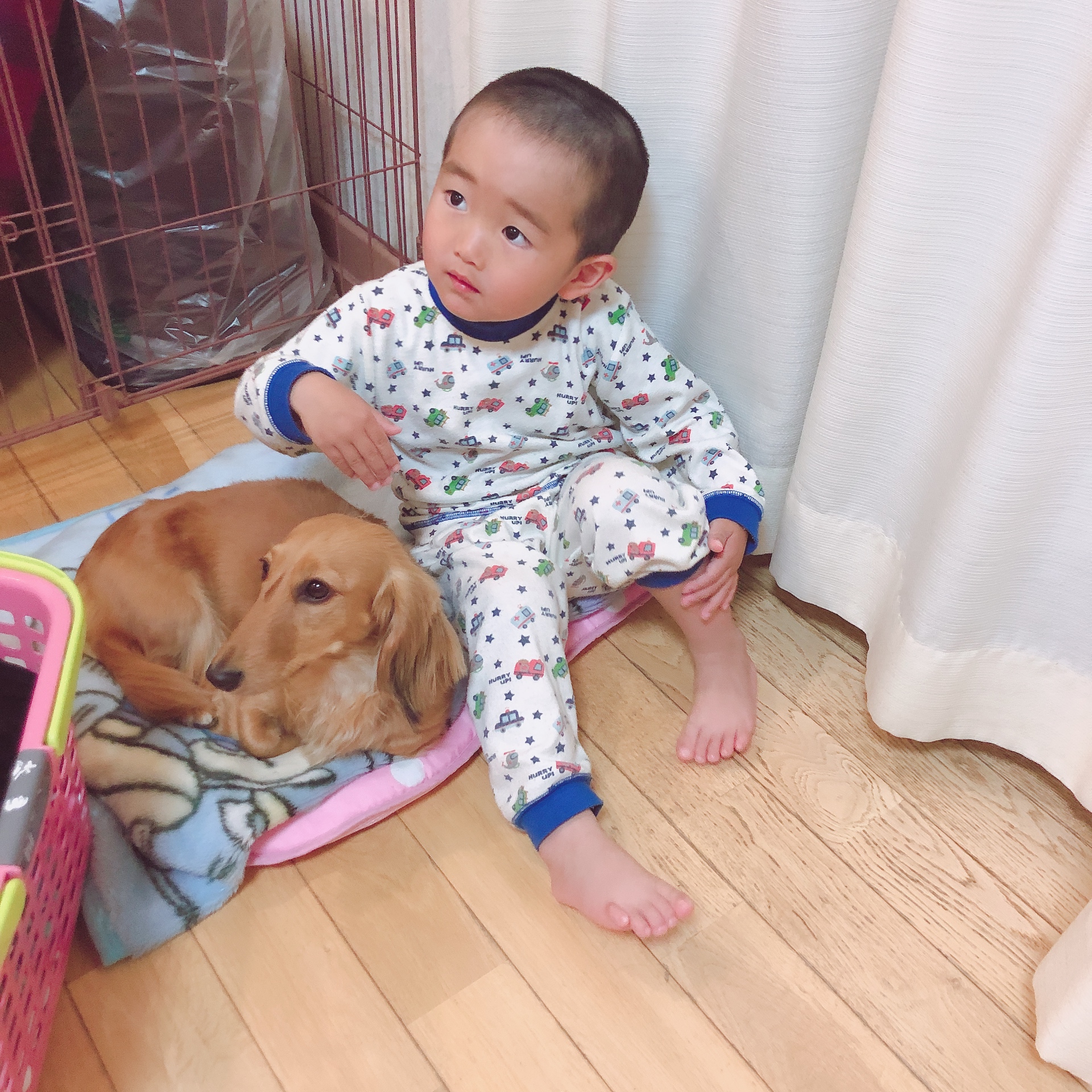 春のお出かけ前に安心点検とプロ洗車で快適ドライブを🚗