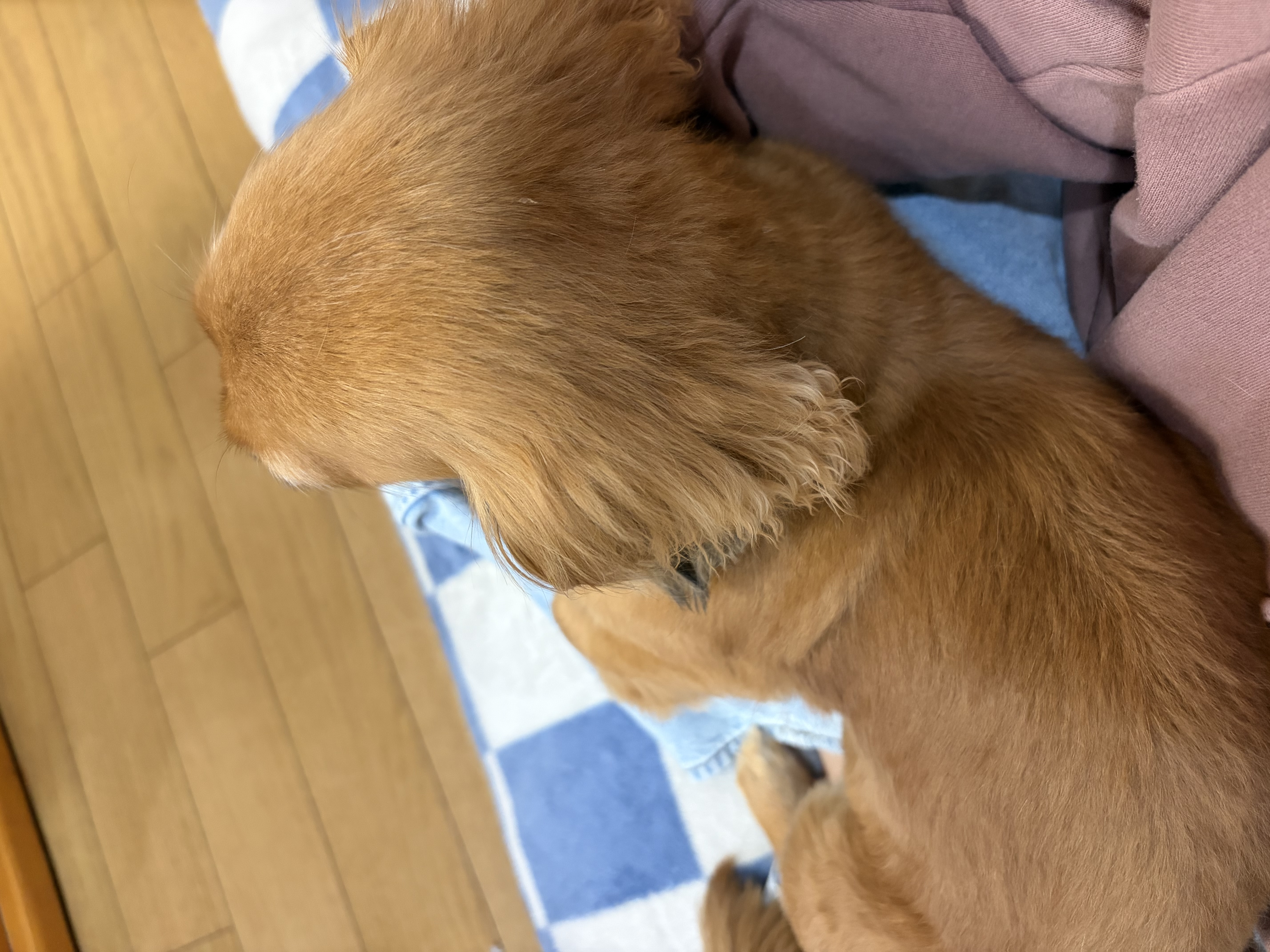 冬の雨の日も安心セルフ村松SSで愛車メンテナンス🚗✨