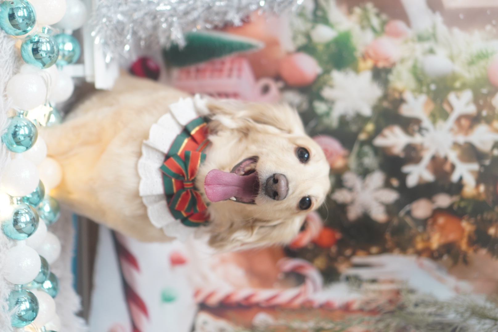 年末の車メンテと洗車はセルフ村松SSで快適ケア🚗✨