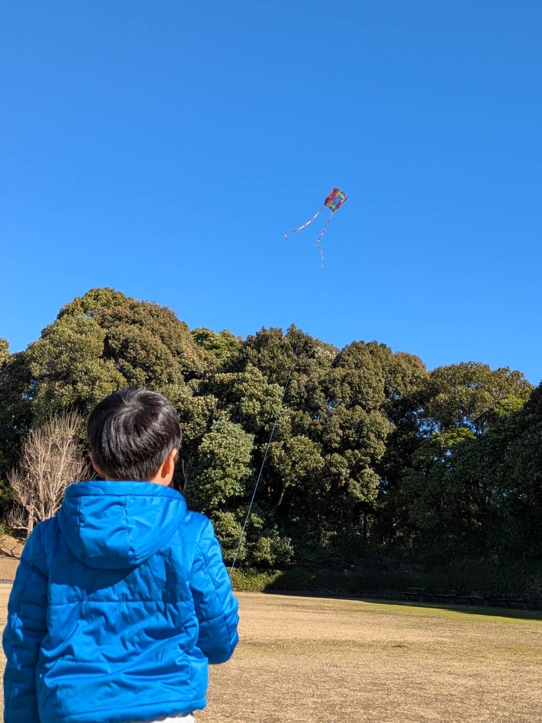 冬の凧揚げと車の冬対策をセルフ村松SSで楽しくチェック🎏