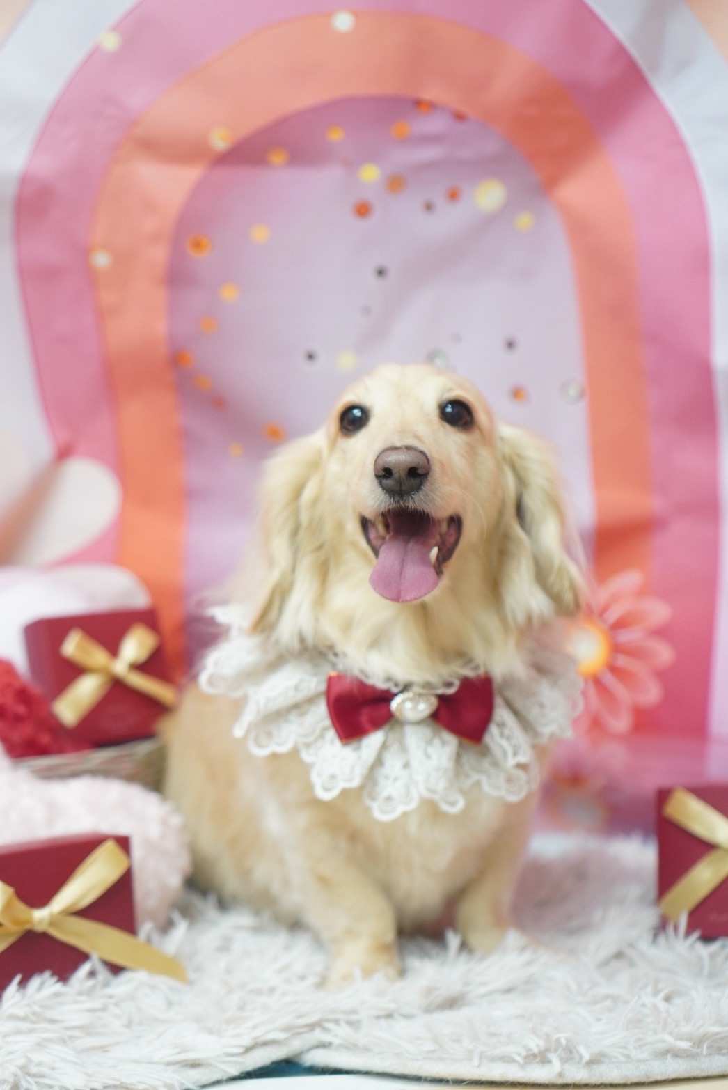 春の洗車と点検で快適ドライブを楽しもう🚗セルフ村松SSのおすすめケア