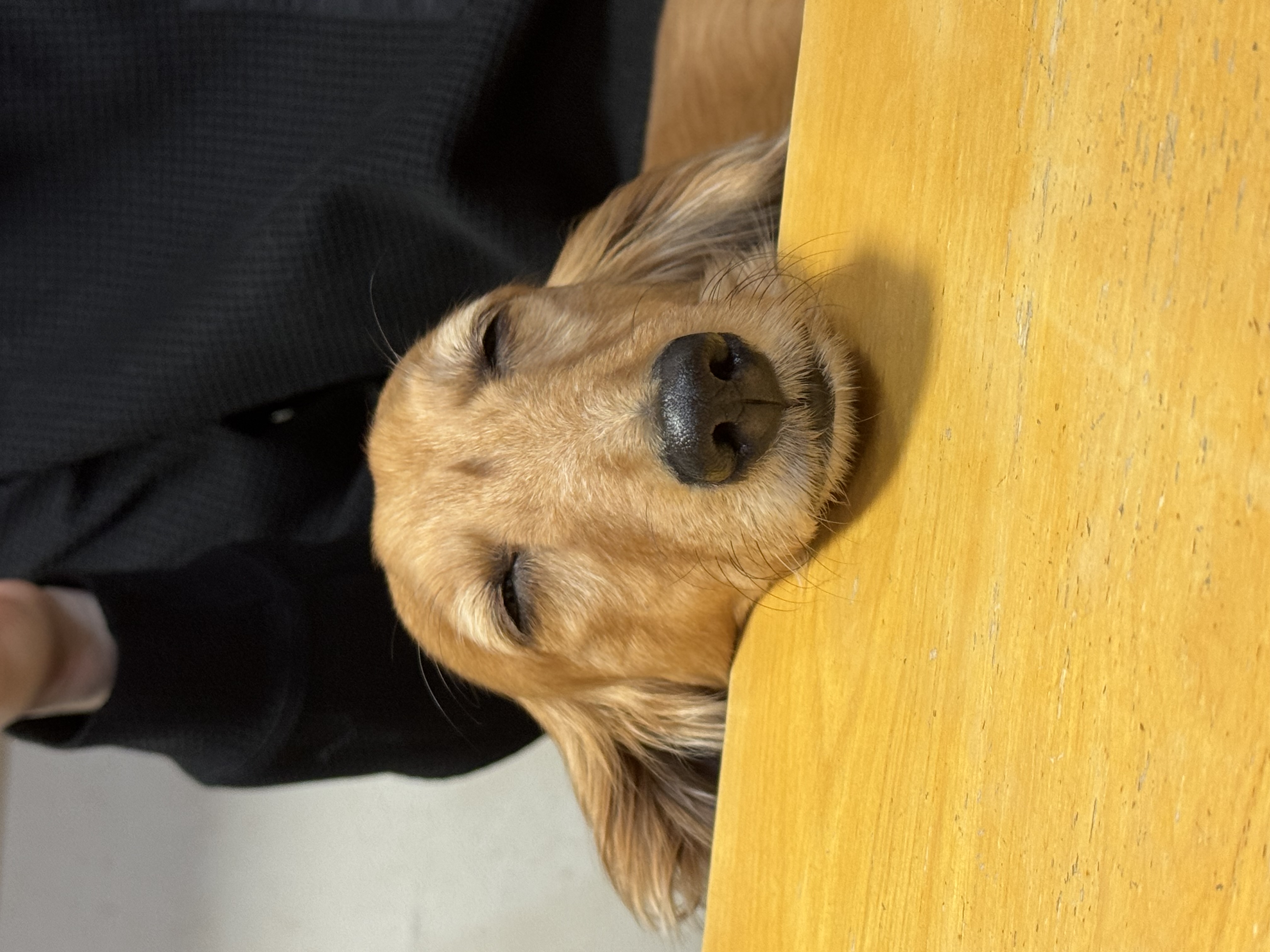 冬の車トラブル対策とセルフ村松SSの安心サービス紹介🚗✨