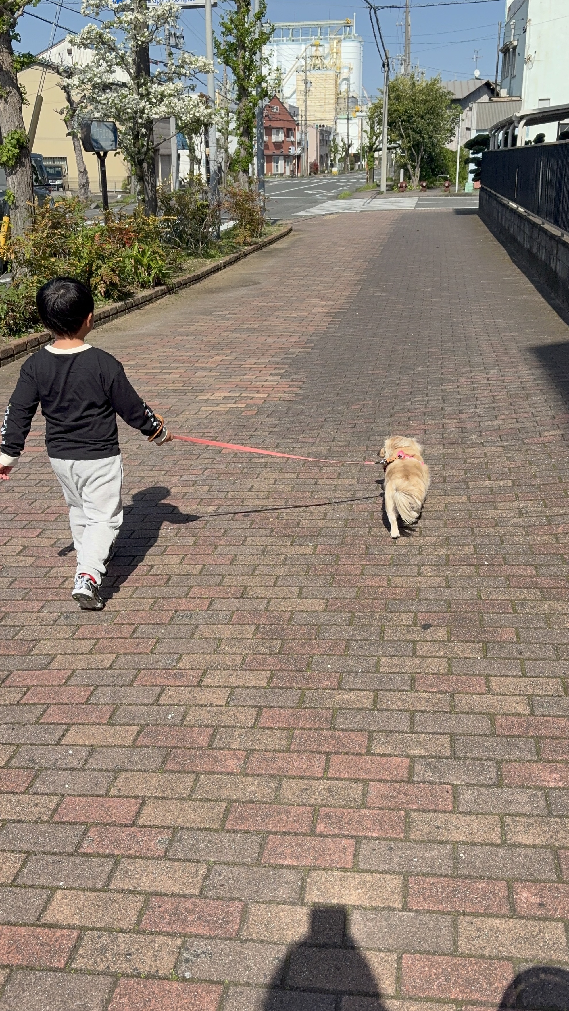 春の車メンテナンスはセルフ村松SSで安心サポート🚗✨