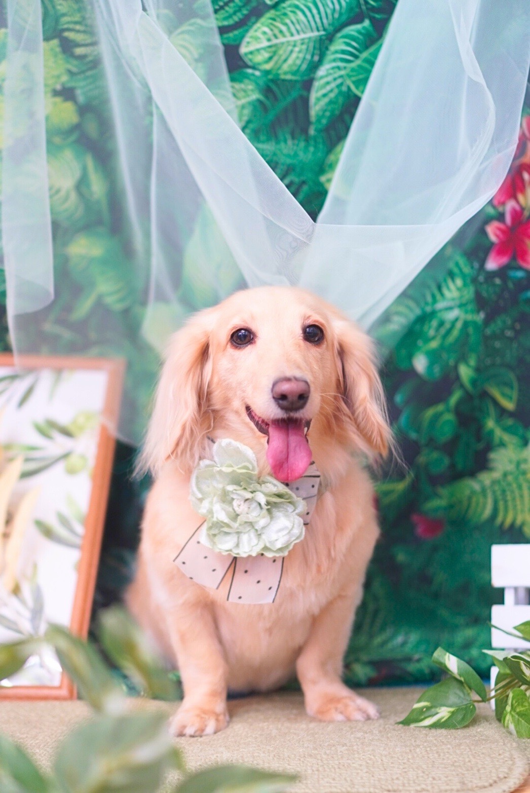 冬の車検と無料点検で安心ドライブをサポートします😊