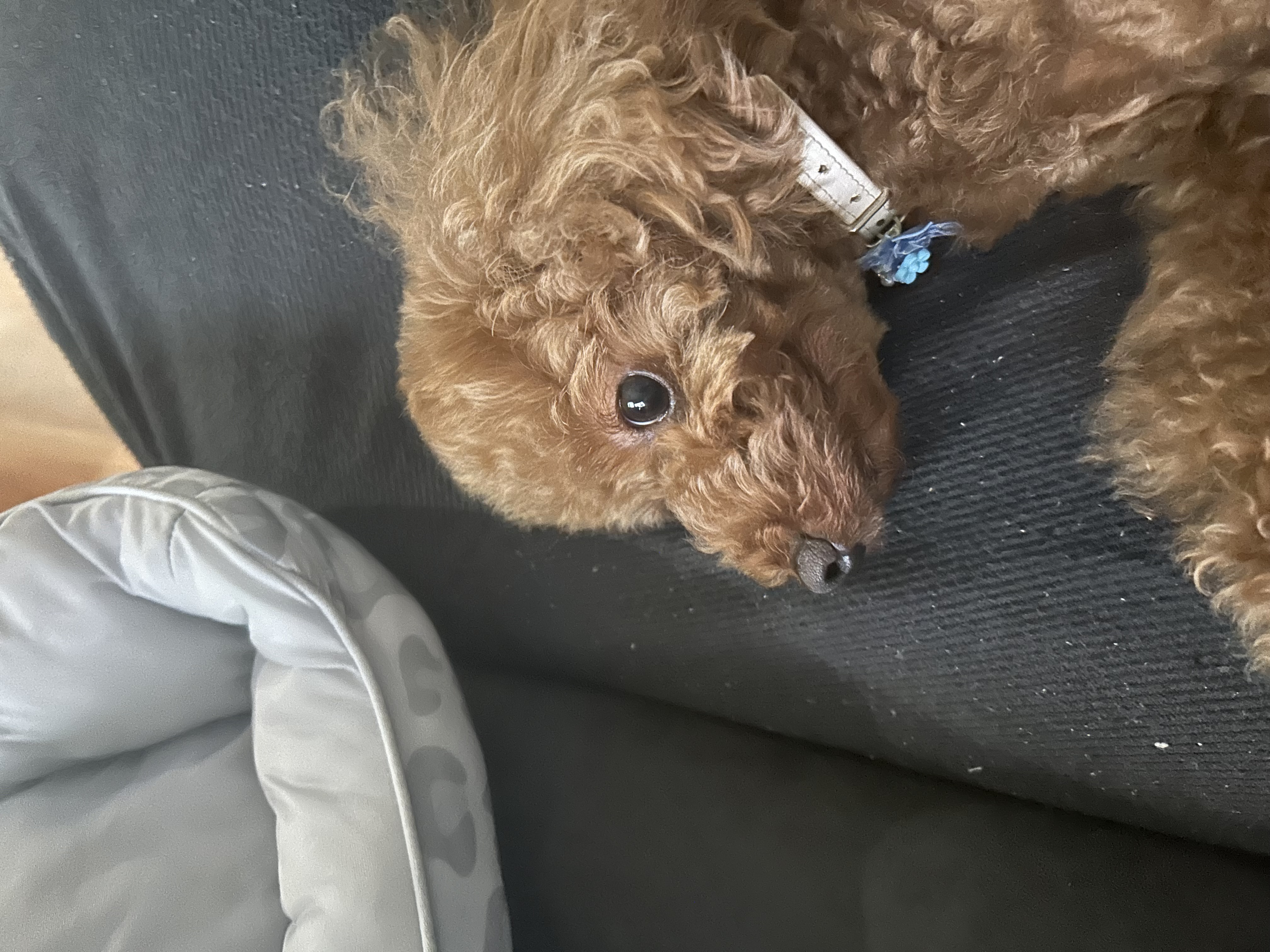 秋冬の車メンテナンスポイントとセルフ村松SS洗車のすすめ🚗