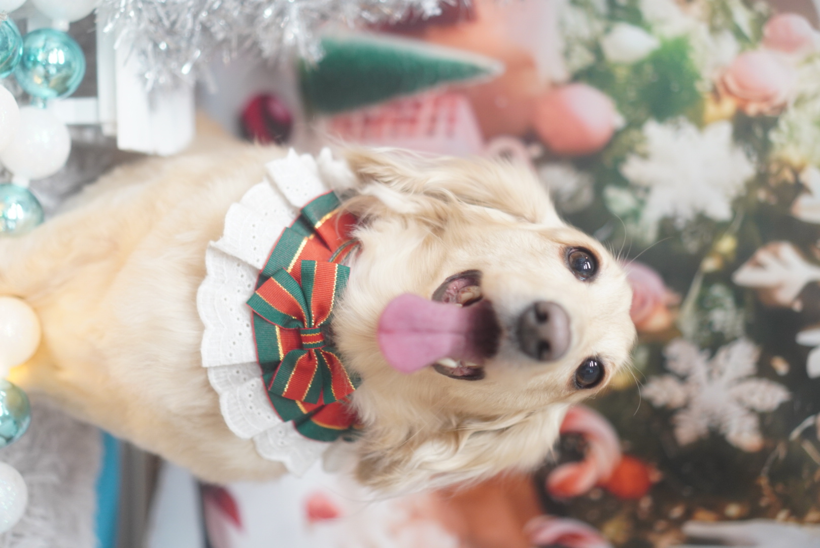 冬の安心ドライブ応援セルフ村松SSの洗車＆点検サービス🚗