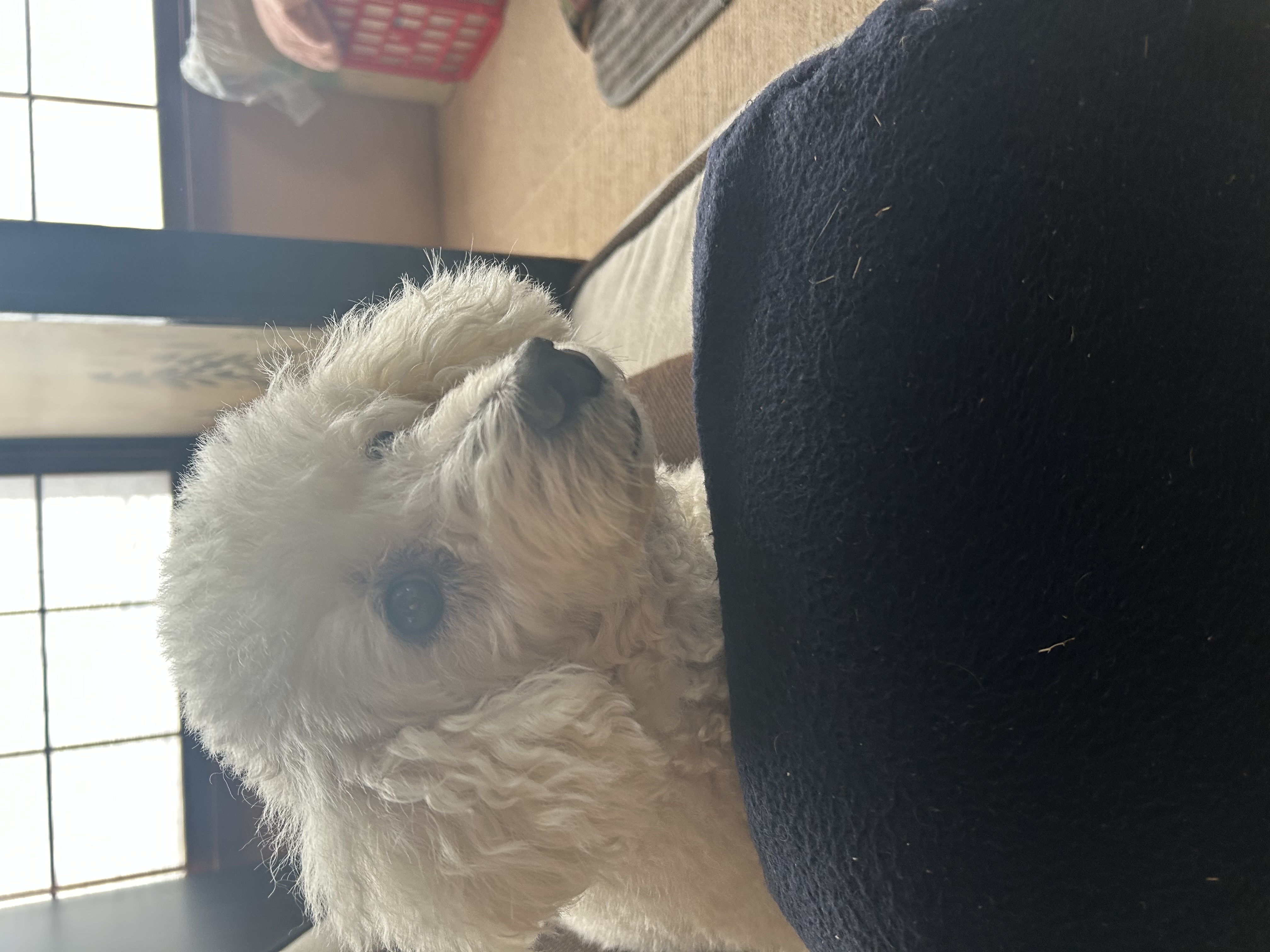 秋のドライブ前におすすめ手洗い洗車と安心点検サービス🚗🍁