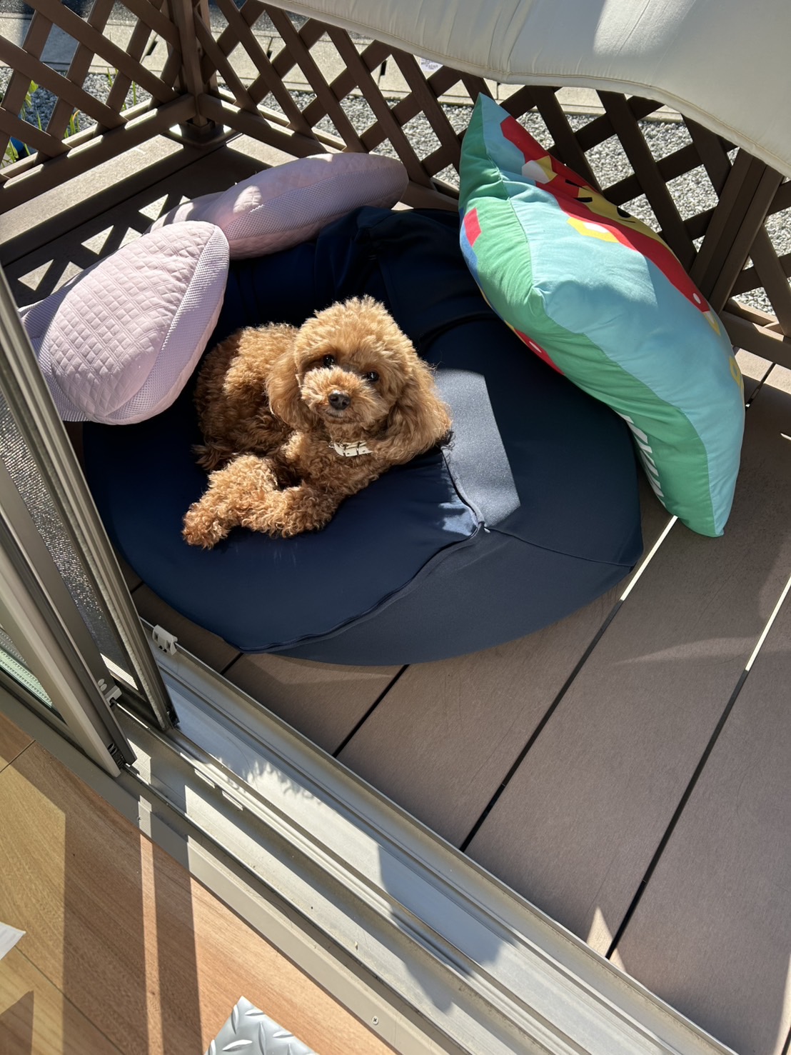 静岡セルフ村松SS手洗い洗車キャンペーンと冬の愛車ケア情報🚗