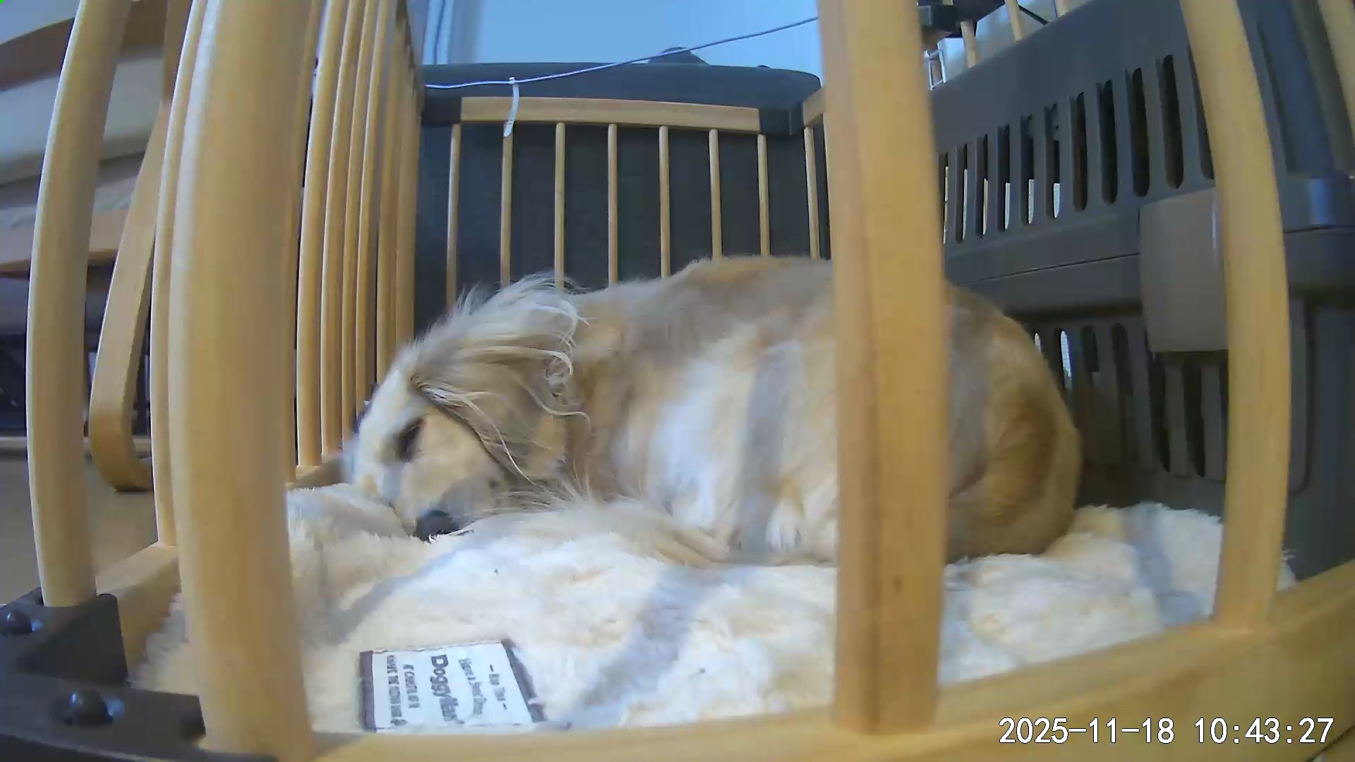 秋冬のタイヤ交換と車検相談はセルフ村松SSで安心サポート🚗