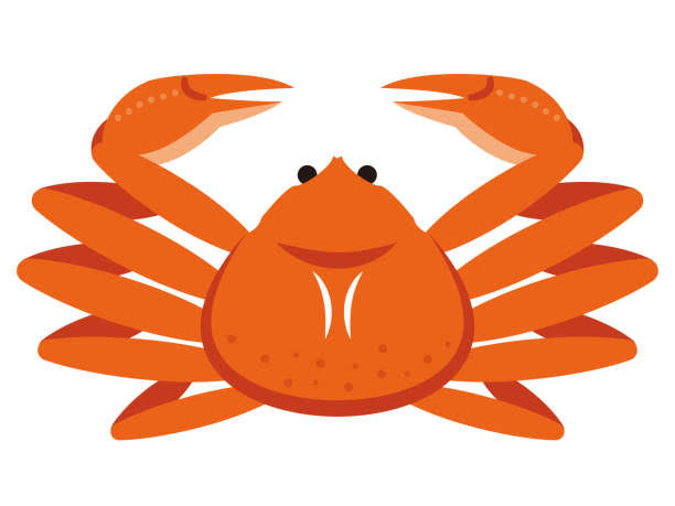 冬のカーケアと話題のカニで家族も大満足のセルフ村松SS体験🚗🦀