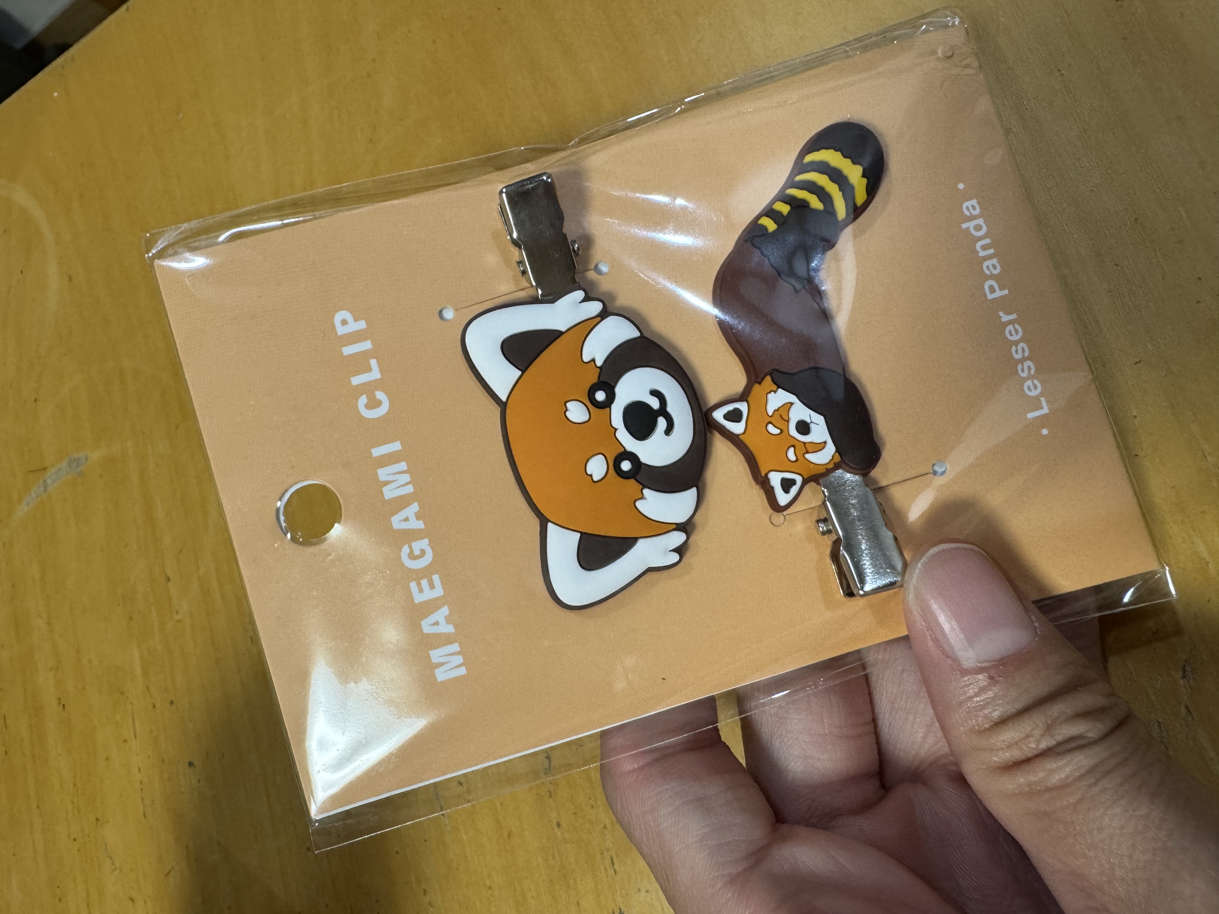 修学旅行帰宅の感動と冬の車メンテナンスポイント⛽️安全運転の秘訣