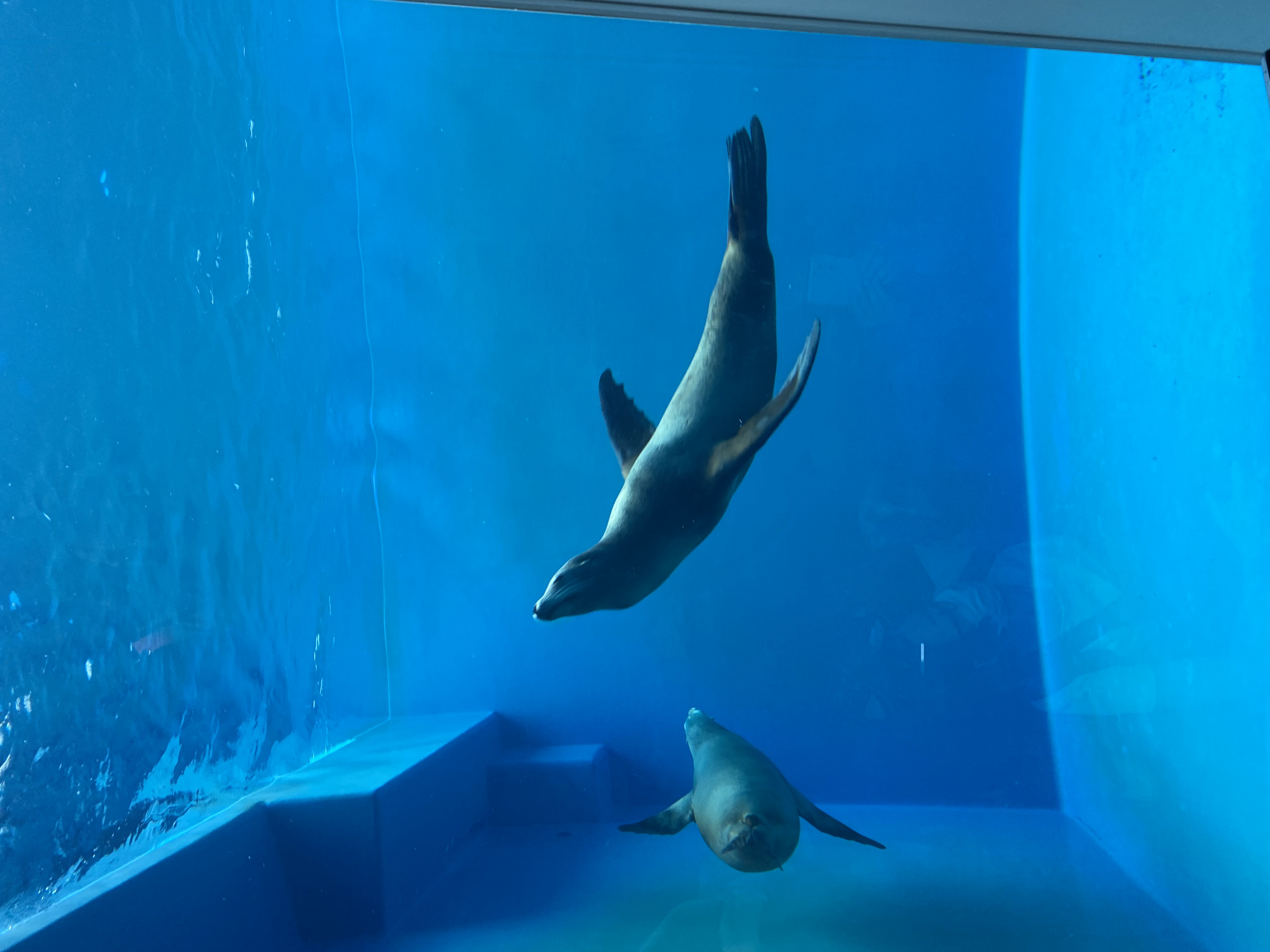 秋冬の愛車ケアにおすすめ キーパーコーティング10%OFFキャンペーン中🚗