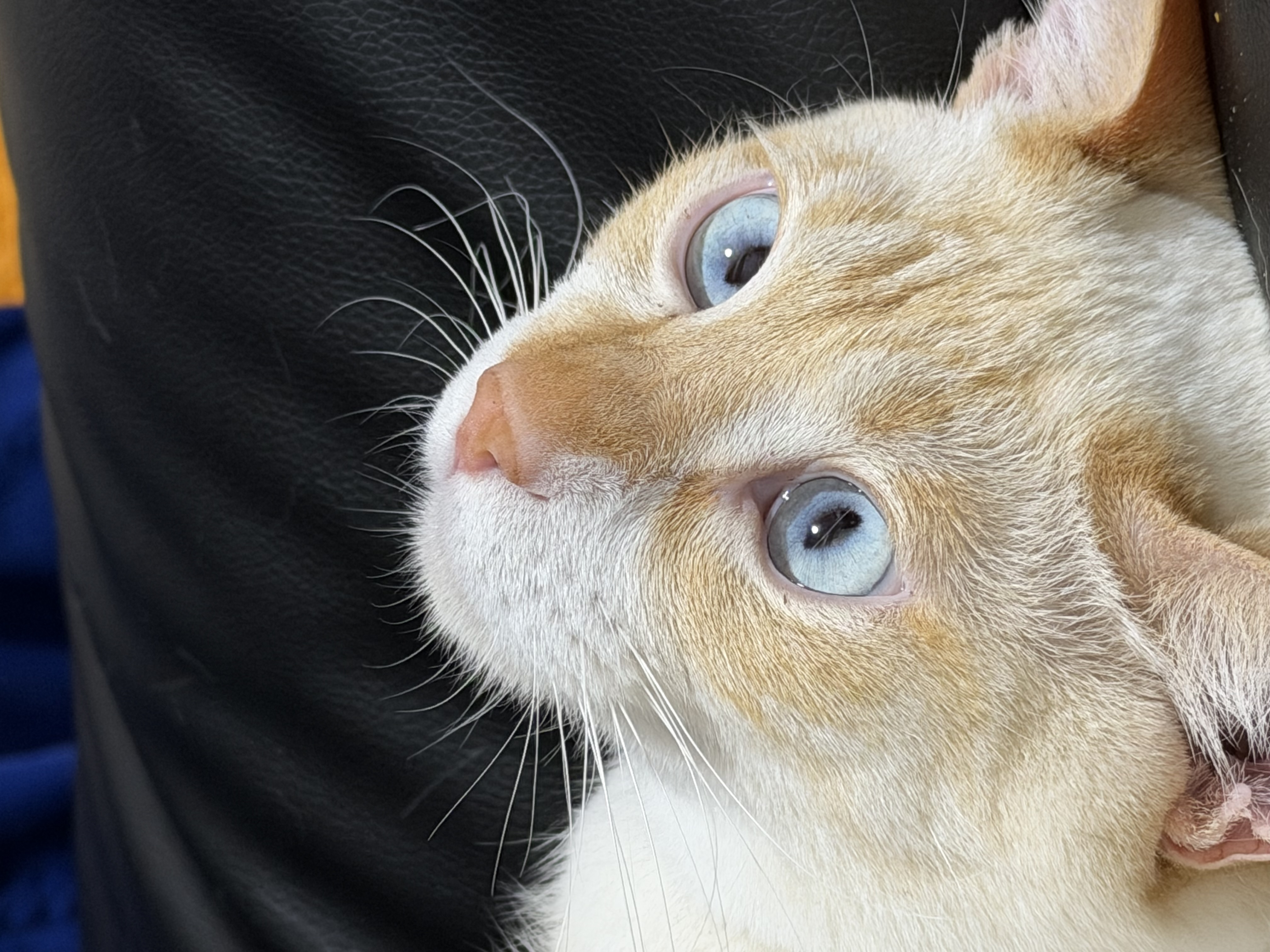 春の車メンテはセルフ高橋SSでお得にコーティング＆タイヤ交換🚗