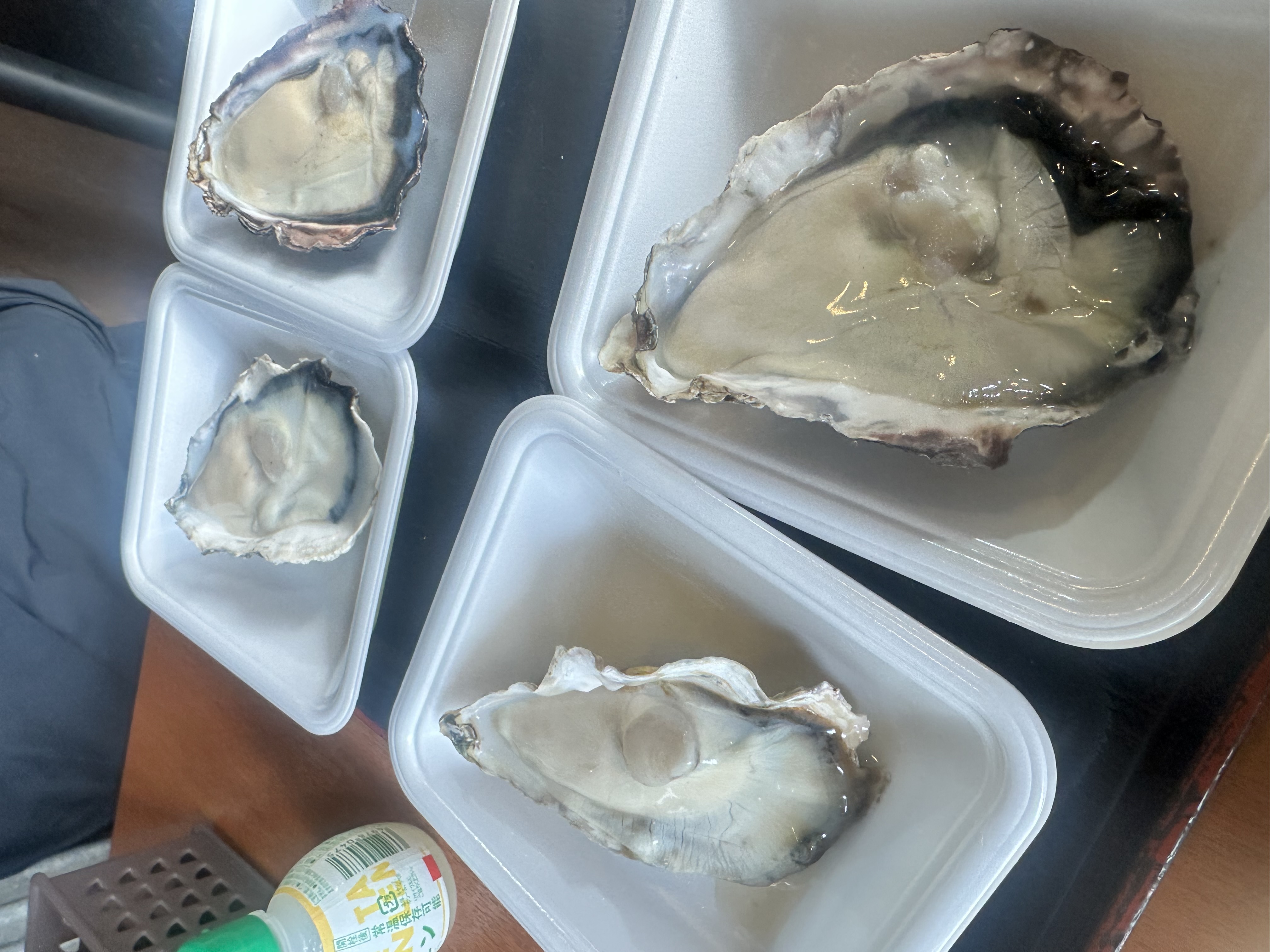 雨の日の車メンテナンスポイントとセルフ洗車のすすめ🚗静岡セルフ高橋SS