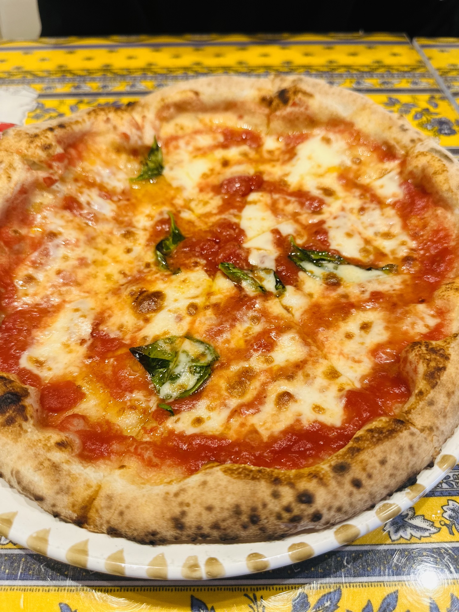 秋のドライブ前にチェックしたい車のメンテナンスポイント🚗